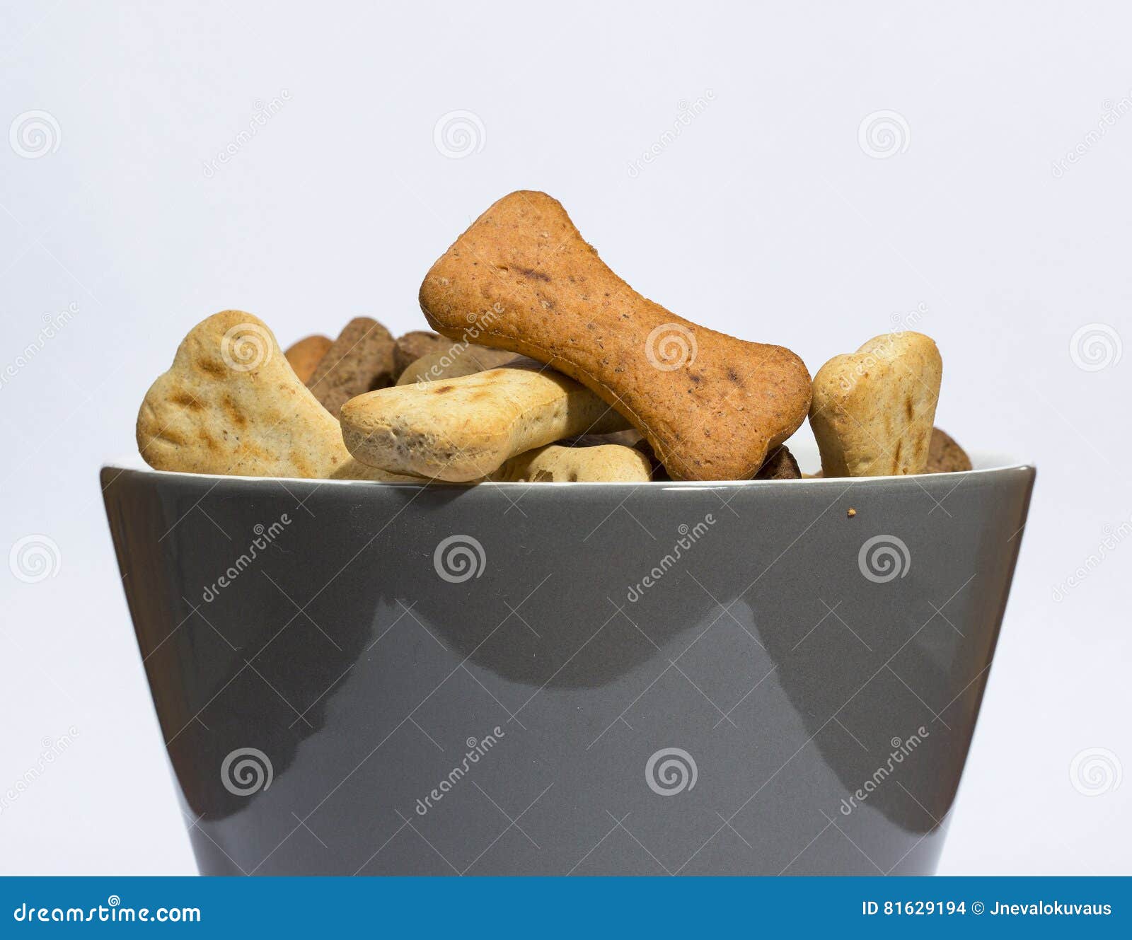 Dog biscuits in a bowl. stock photo. Image of puppy, background 81629194