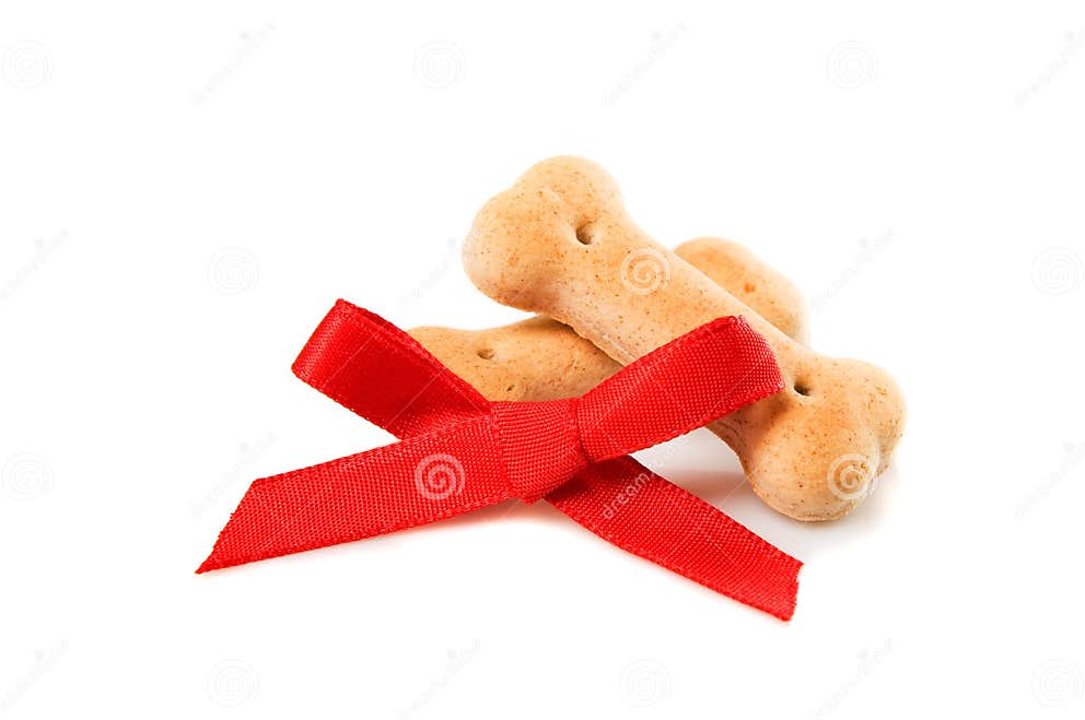 Dog biscuits and ribbon stock photo. Image of ribbon, bonus 6519762