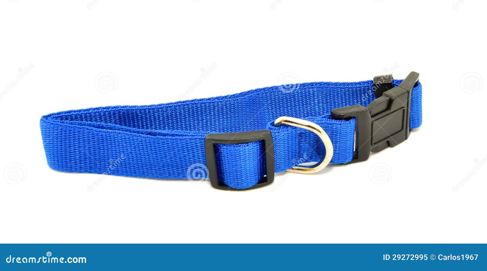 Dog blue collar stock image. Image of adjustable, career 29272995