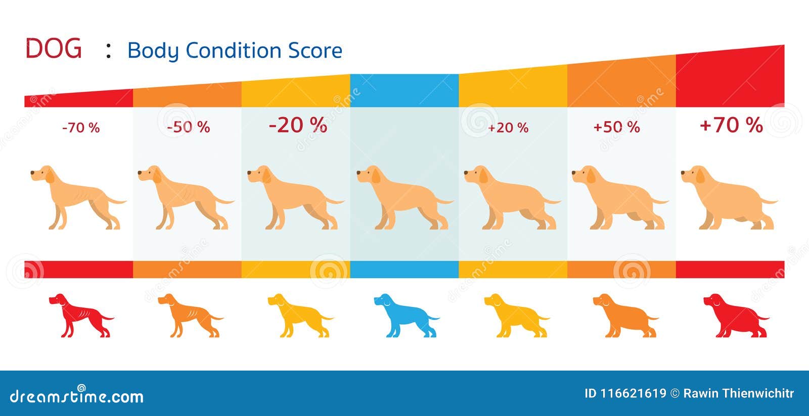 Canine Obesity Chart