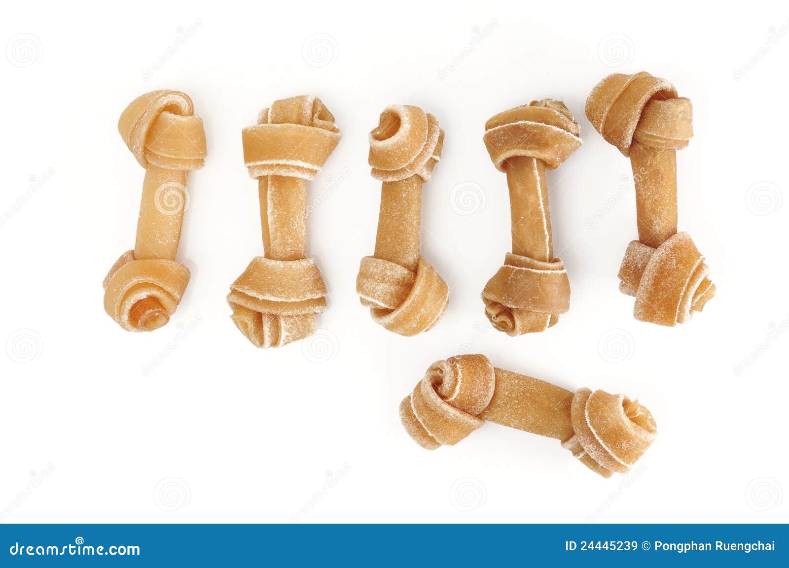 Dog Bone stock image. Image of single, animal, beige 24445239