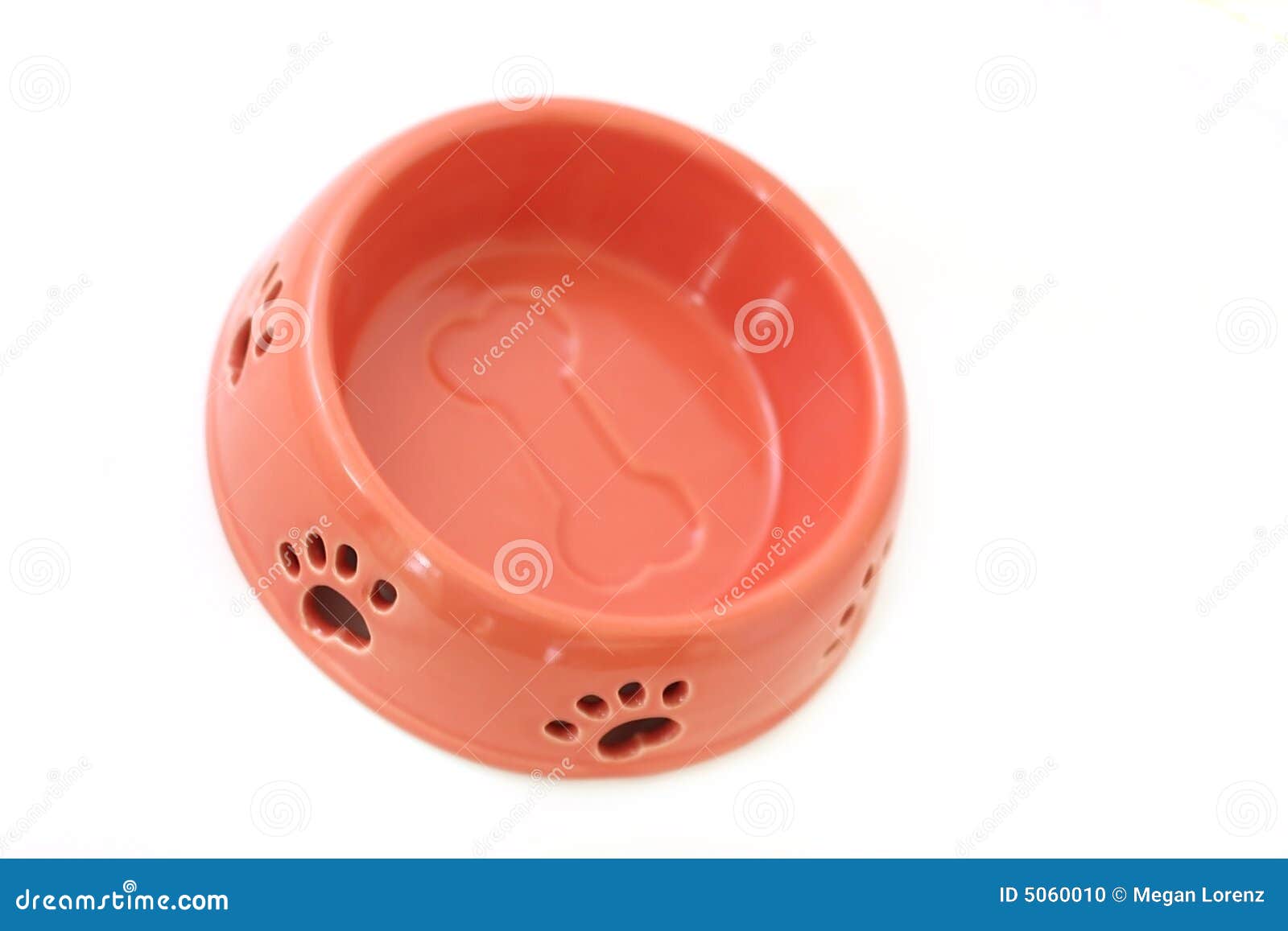 Dog Bowl stock photo. Image of cookie, bowl, pets, animal 5060010