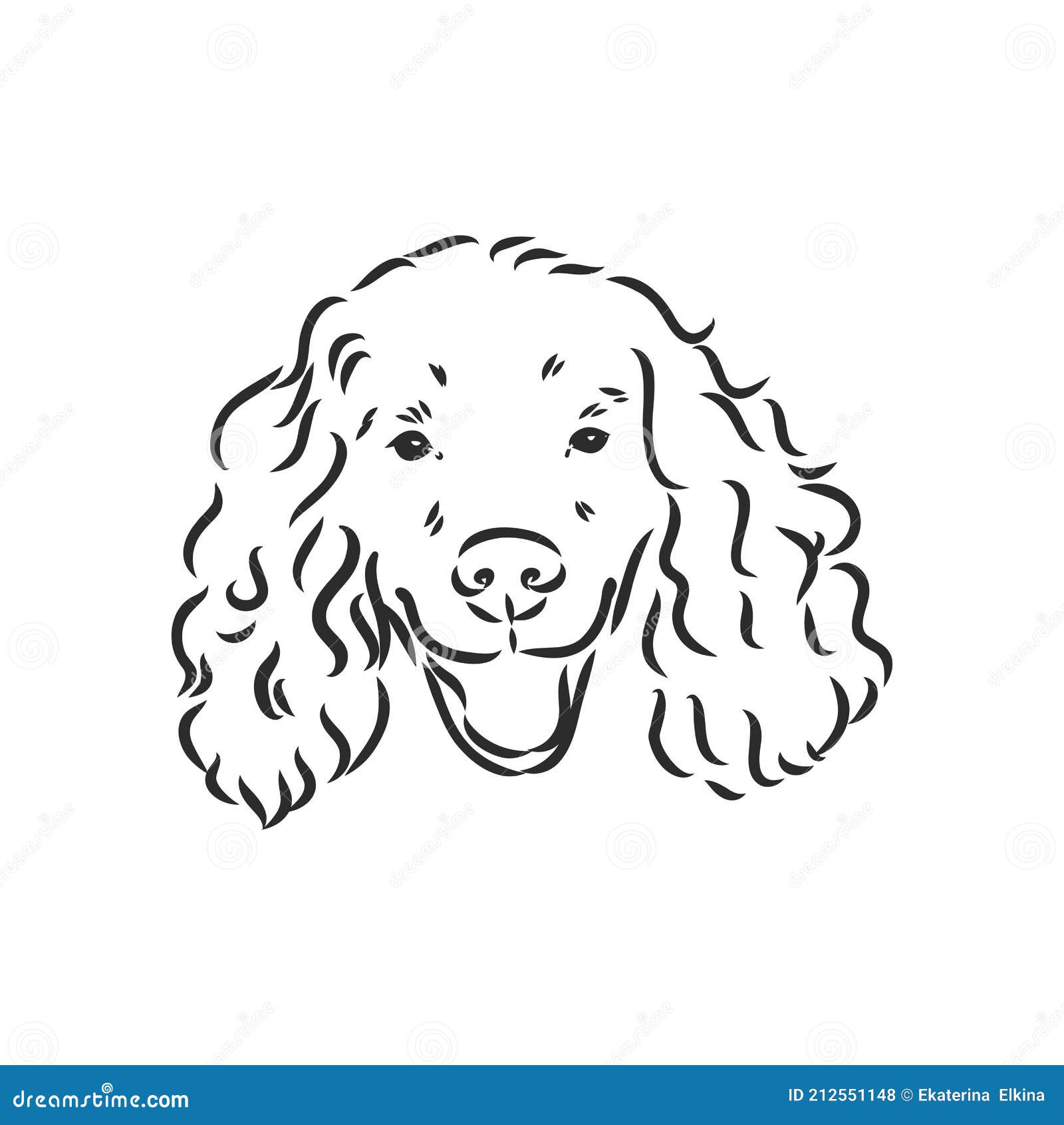 Dog Breed Cocker Spaniel Muzzle Sketch Vector Graphics Black and White  Drawing Stock Vector  Illustration of face mammal 212551148