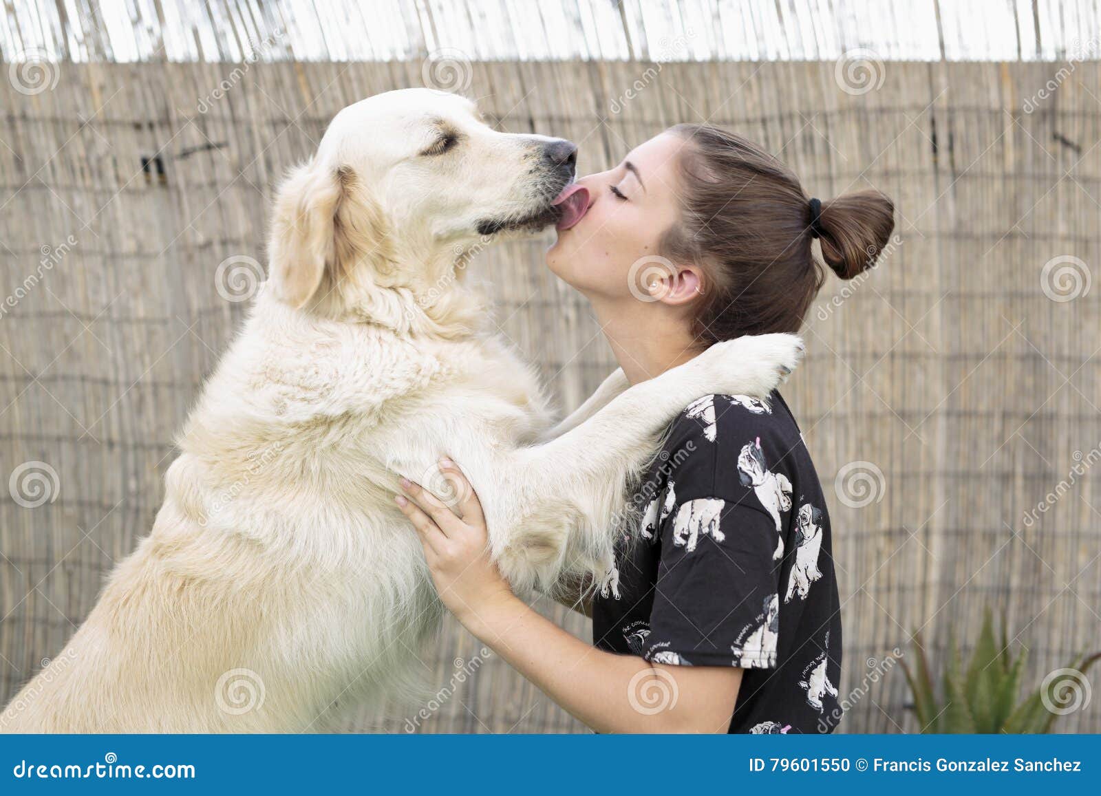 Dog Breed Golden Retriever Giving A Hug To His Owner Stock Photo Image Of Natural Outdoors 79601550
