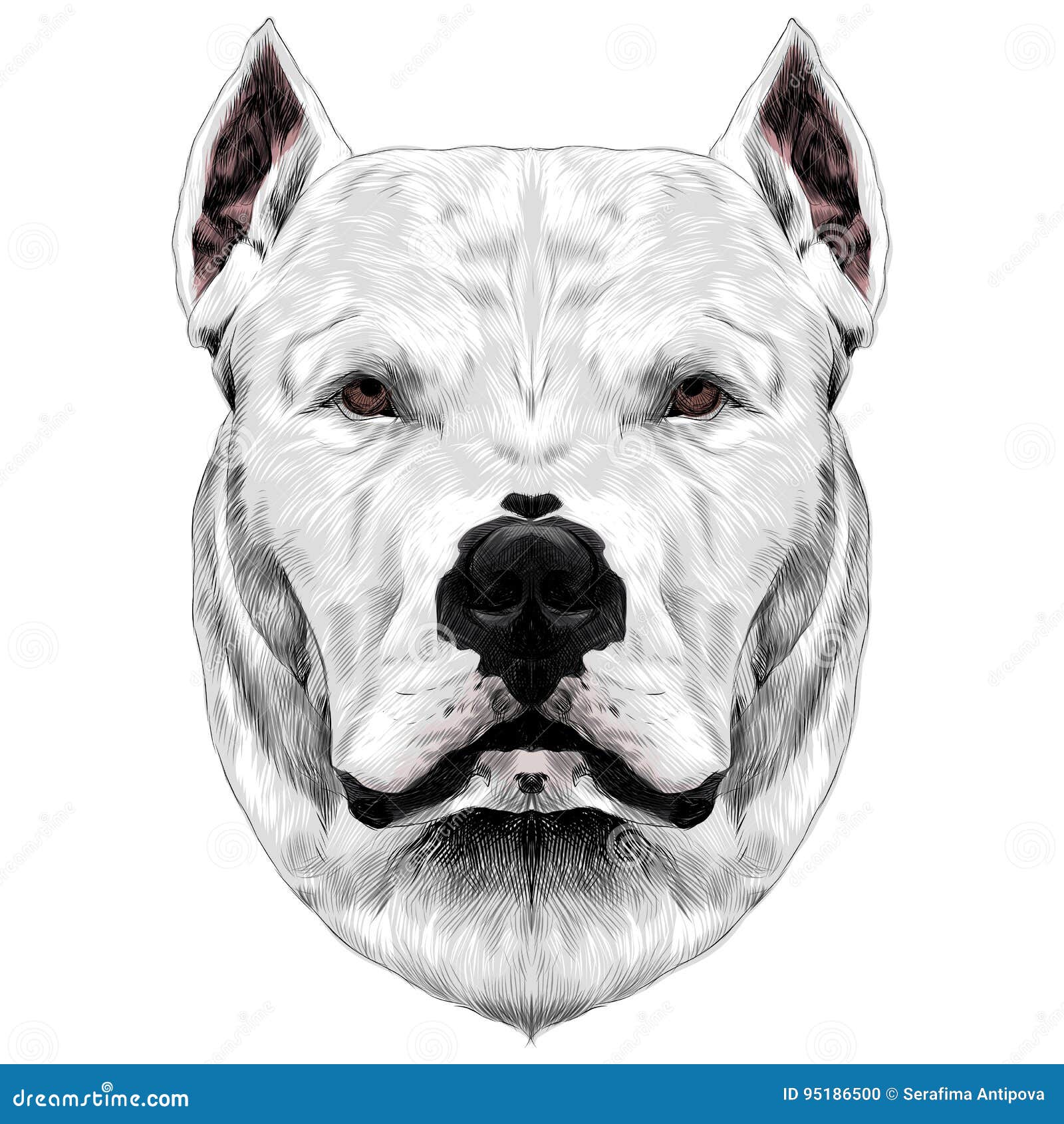 Dog Breed Head Sketch Vector Stock Vector - Illustration of print, view
