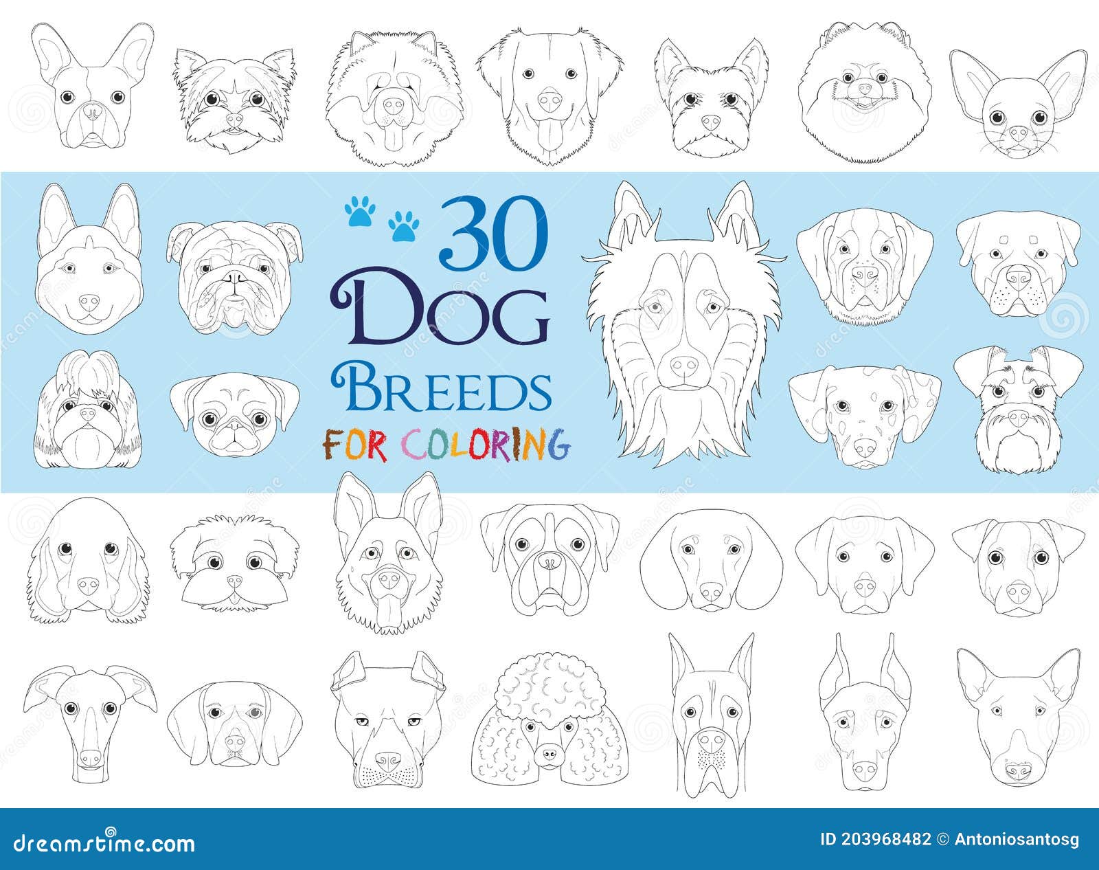 Set of 30 Different Dog Breeds for Coloring in Cartoon Style Stock ...