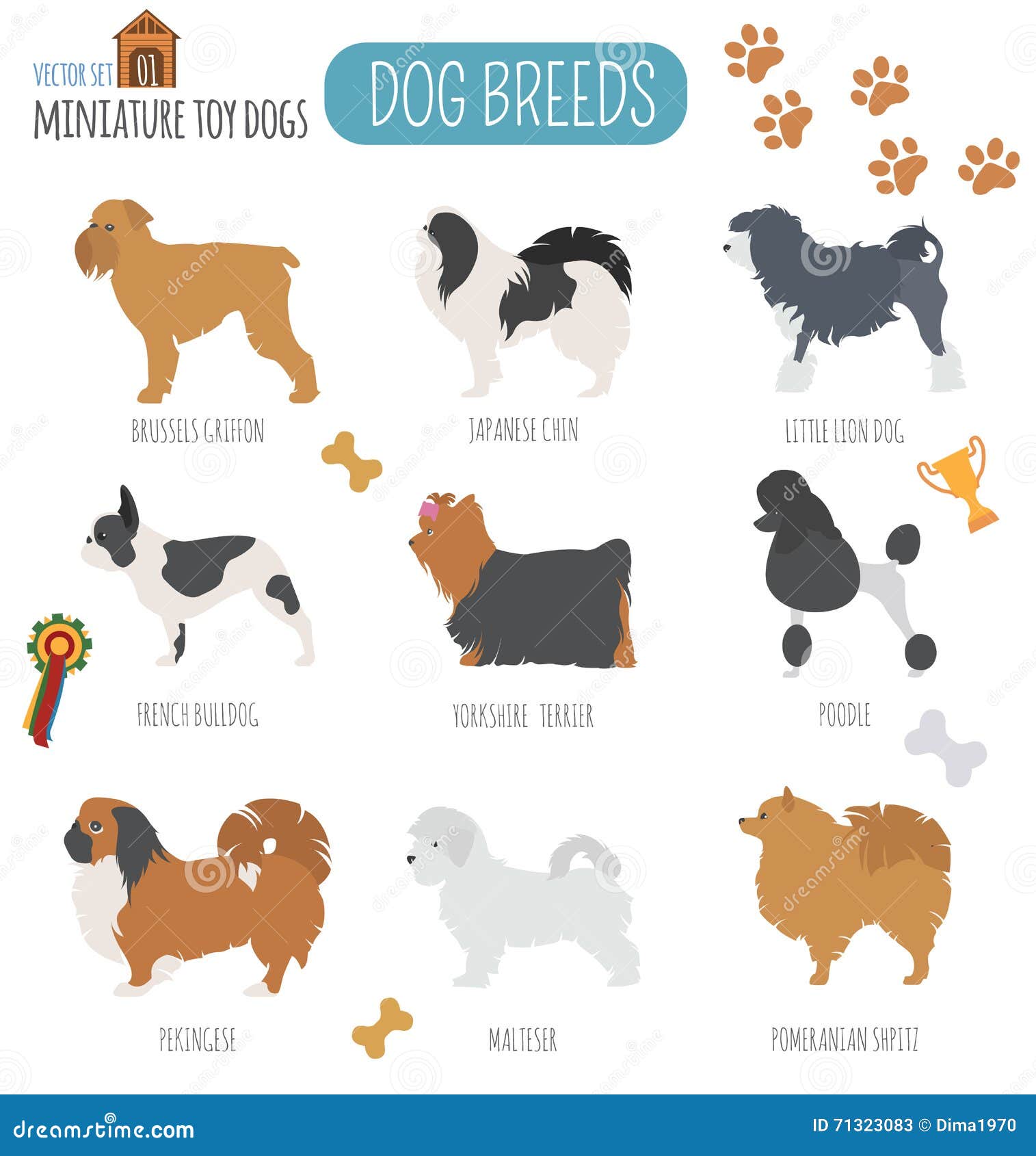 Premium Vector  Dog breeds set, small and medium size, side view