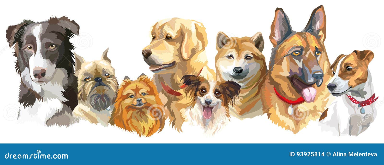 Download Dog breeds set stock vector. Illustration of golden, grace ...