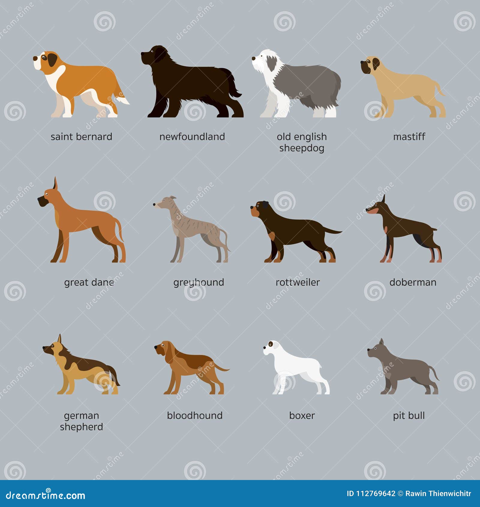 Dog Breeds Set Giant And Large Size Stock Vector Illustration Of Guard Breed 112769642