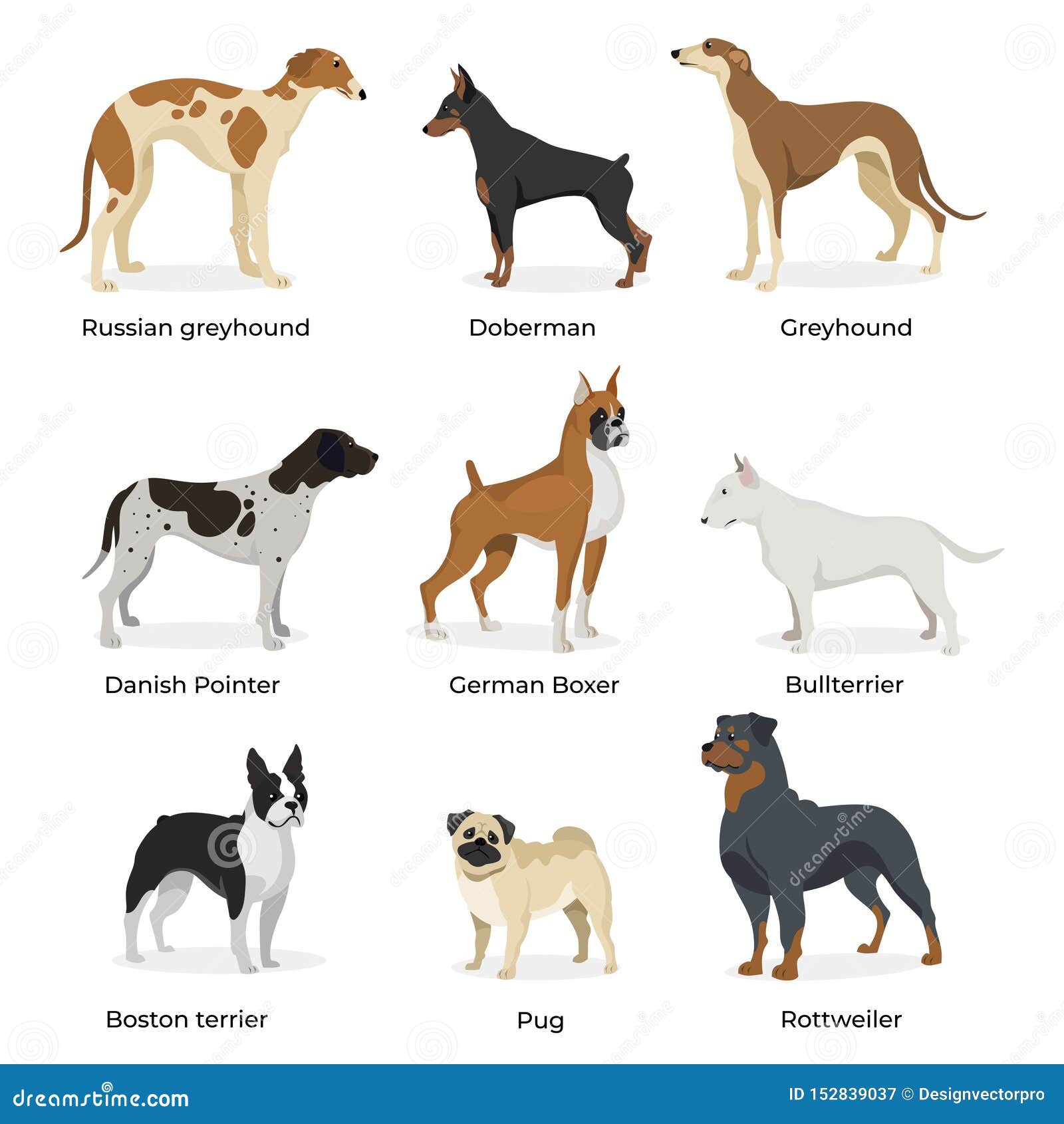 russian dog breeds