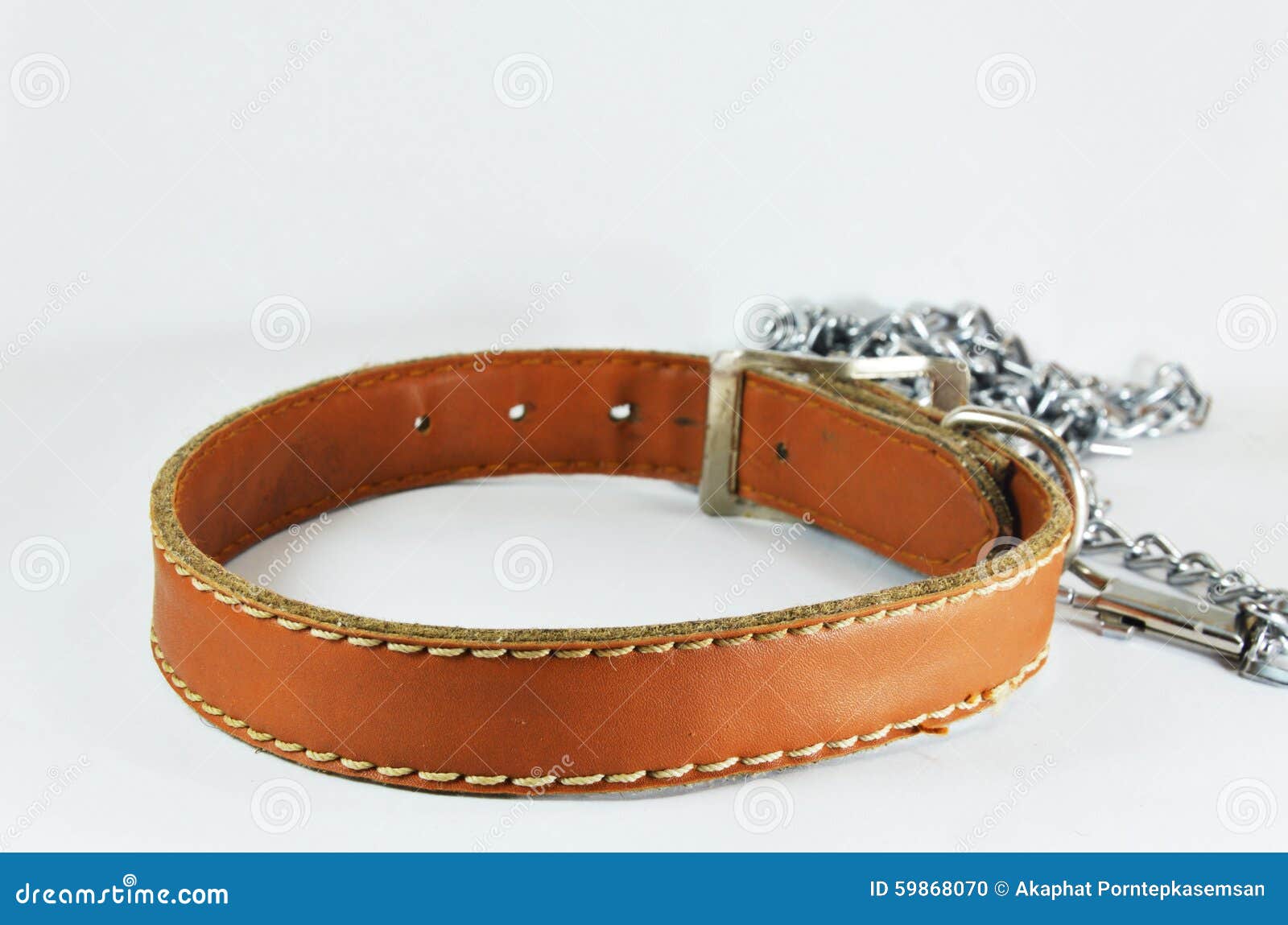 Dog Brown Leather Collar and Lead Chain Stock Photo Image of security