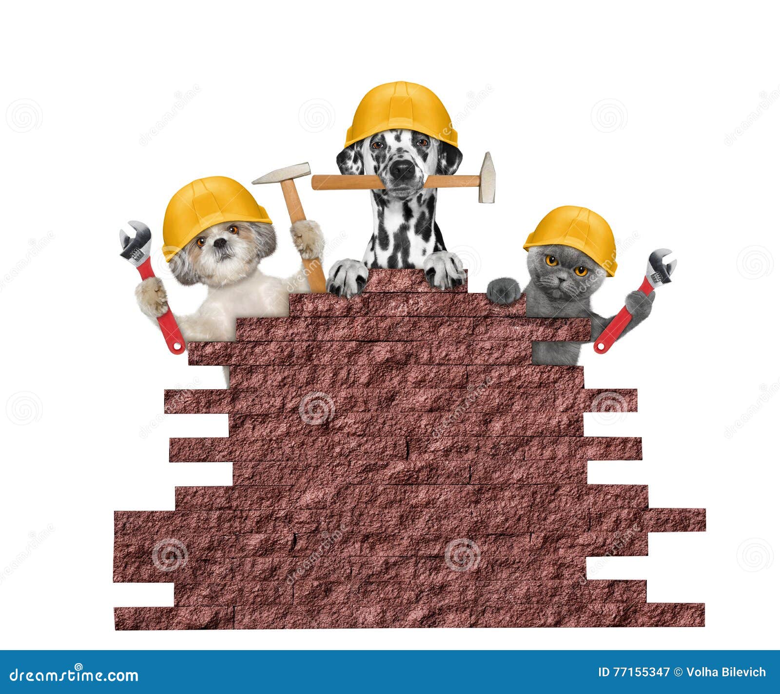 Dog and Cat Builders Holding Tools in Their Paws Stock Image Image of