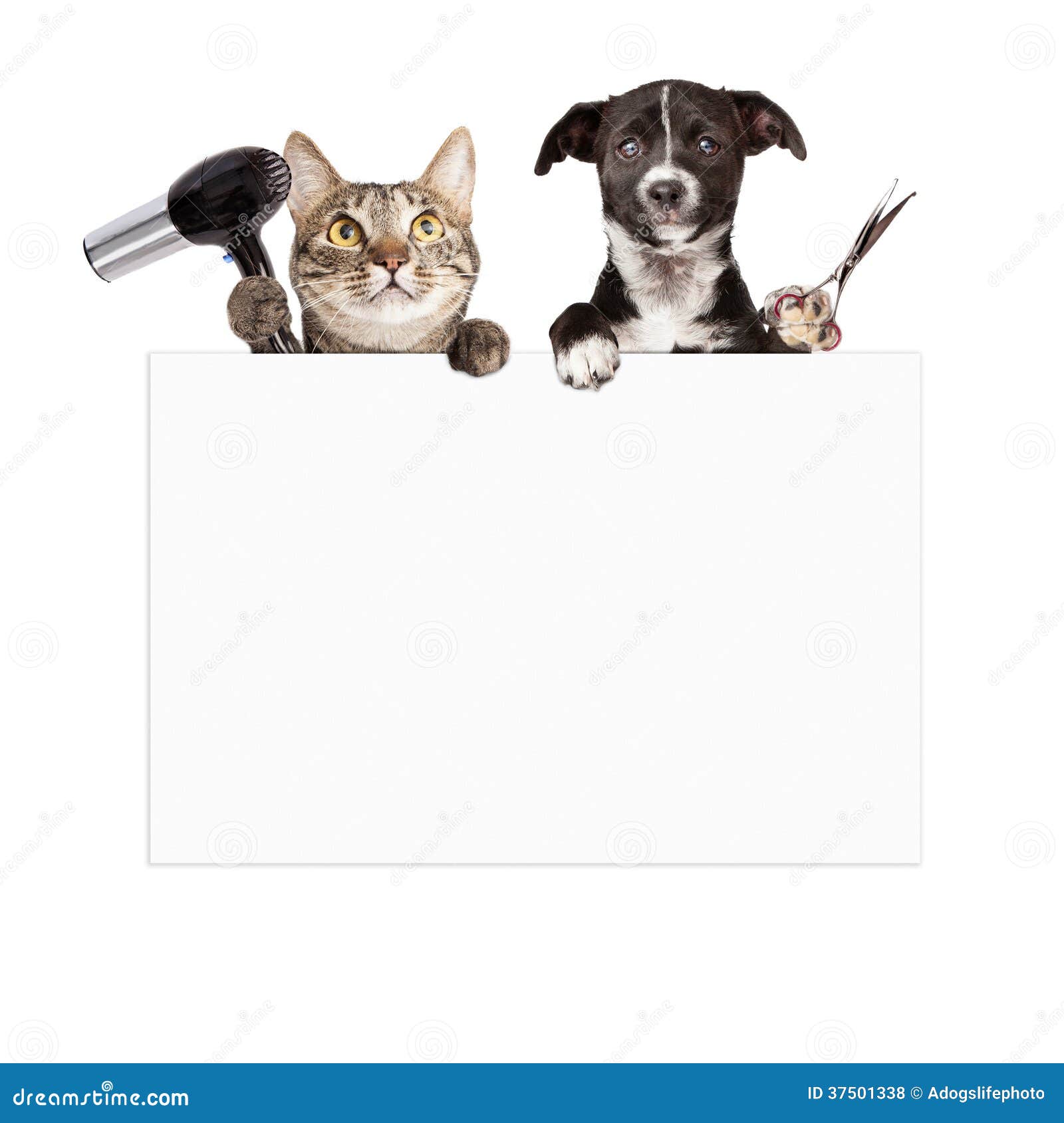 dog and cat grooming blank sign