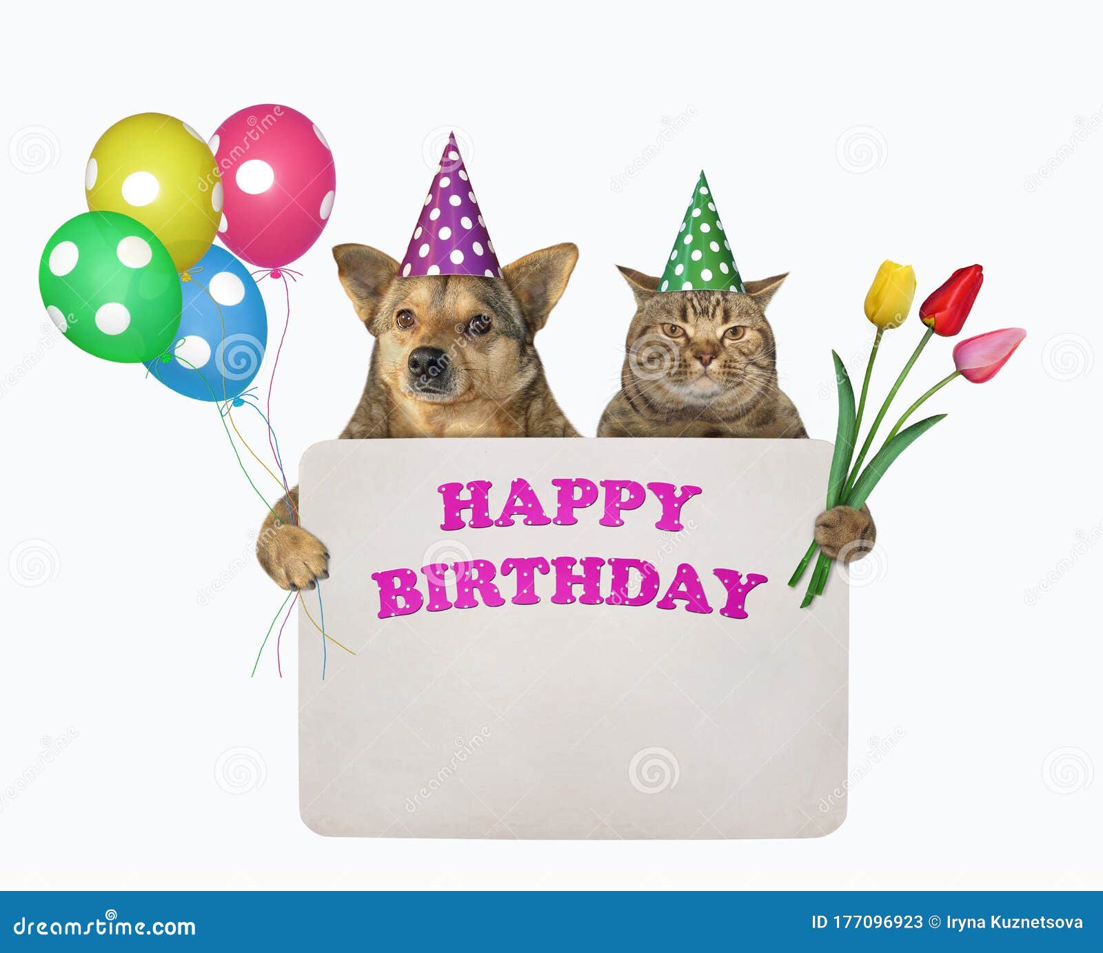My Image 24