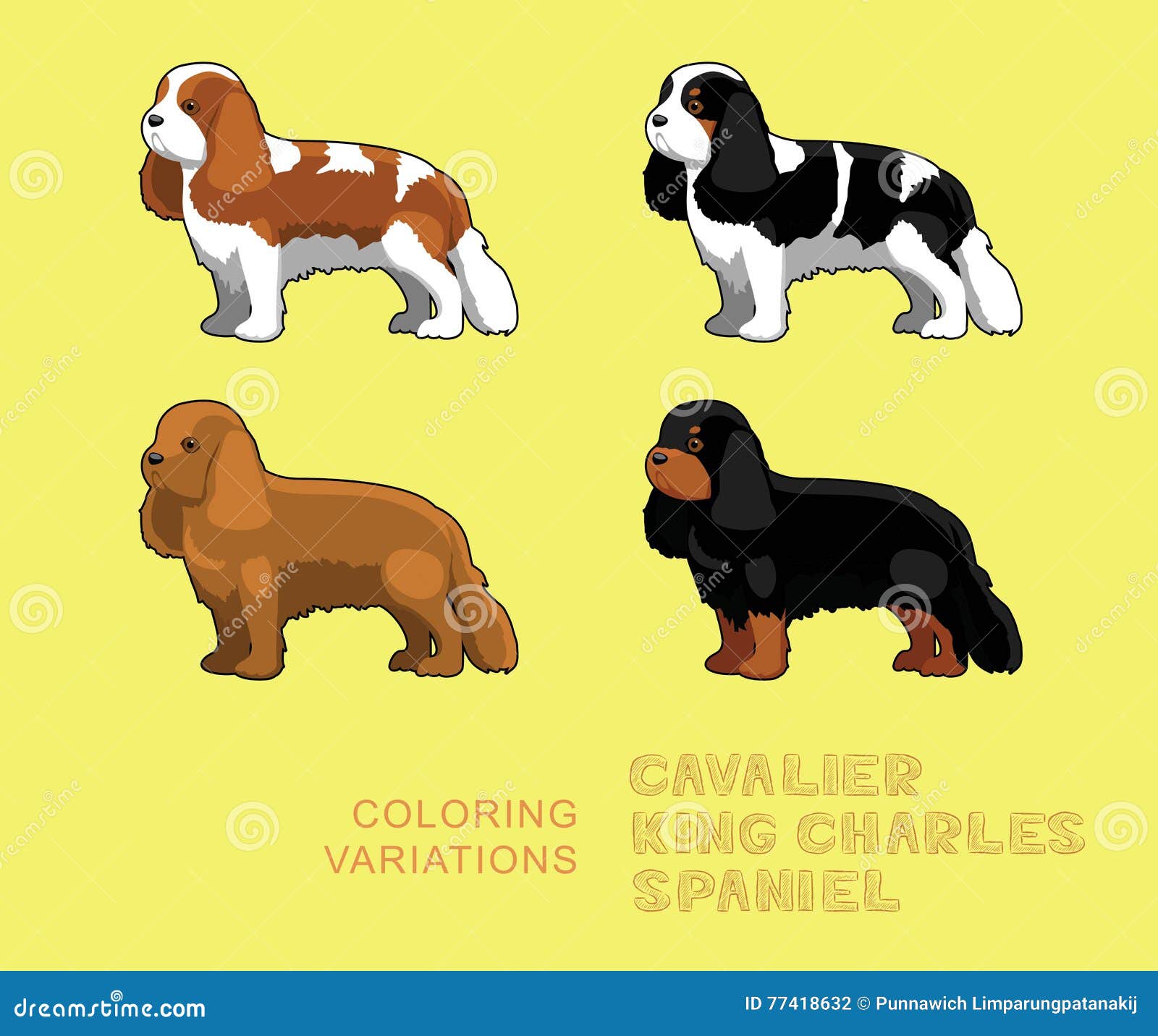 king charles spaniel colors