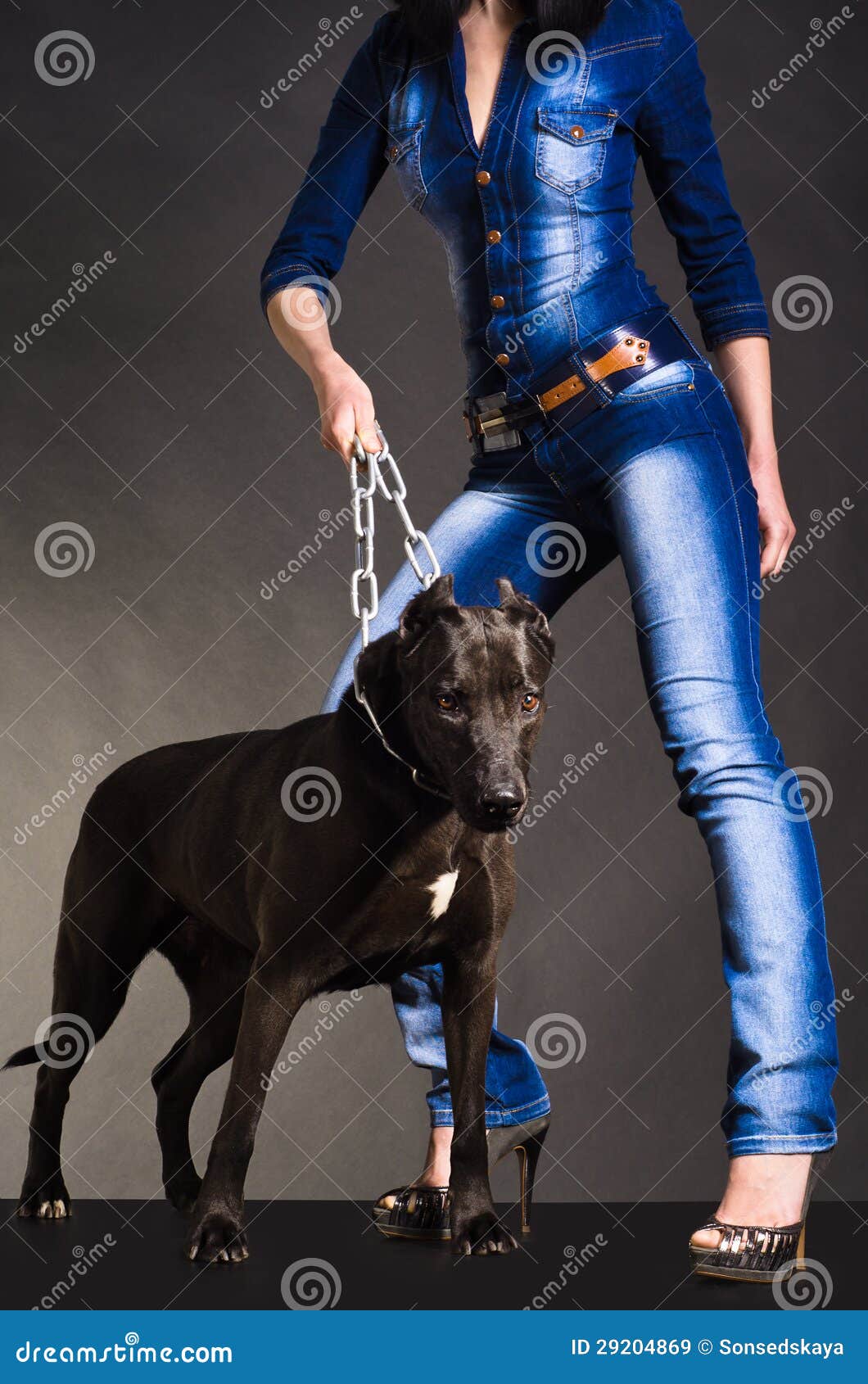 Dog on a Chain that Keeps a Woman Stock Image Image of denim