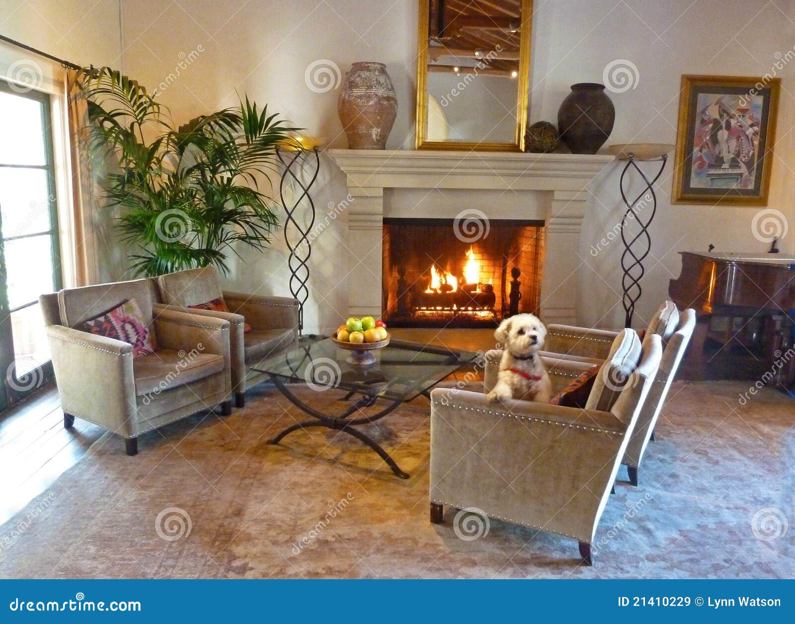 Dog in Chair of Living Room of Pet Friendly Hotel Stock Image Image