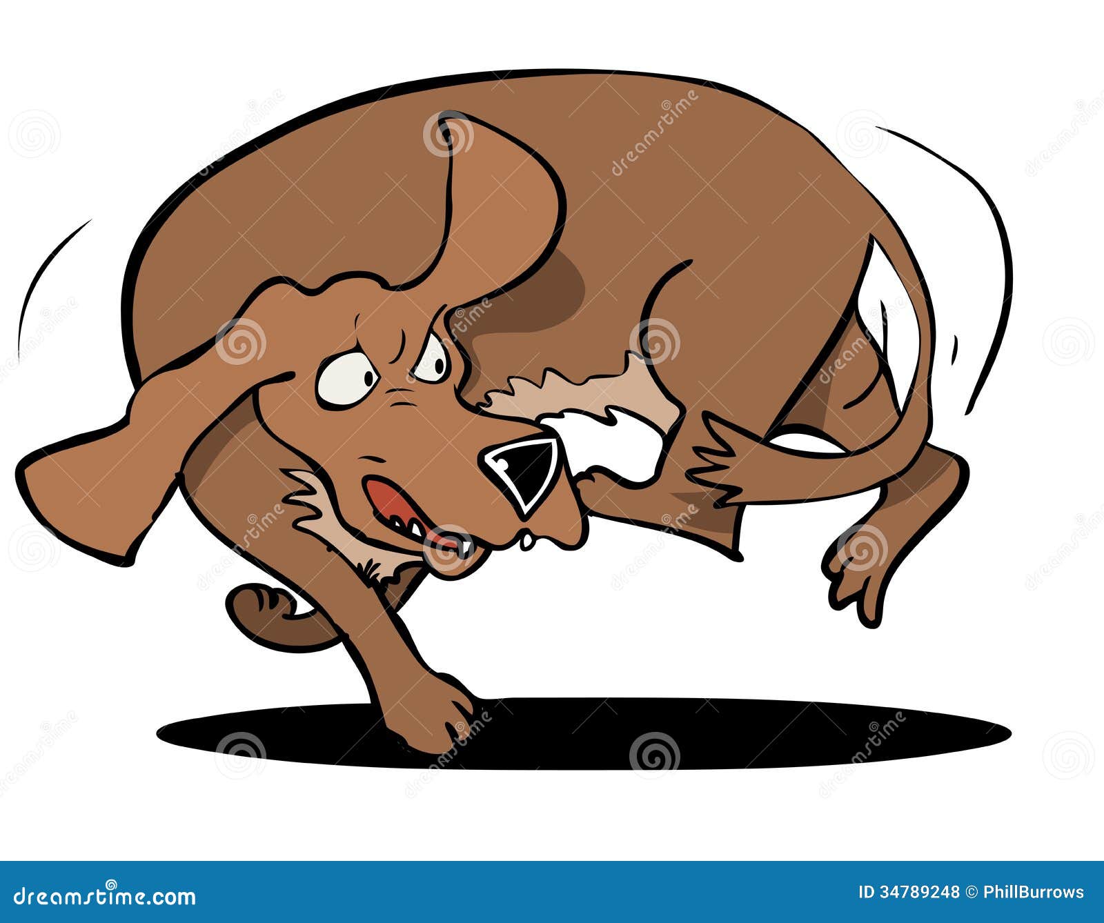 clipart dog chasing tail - photo #3