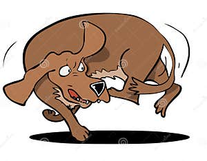 Dog Chase Tail Vector Illustration CartoonDealer 34789248