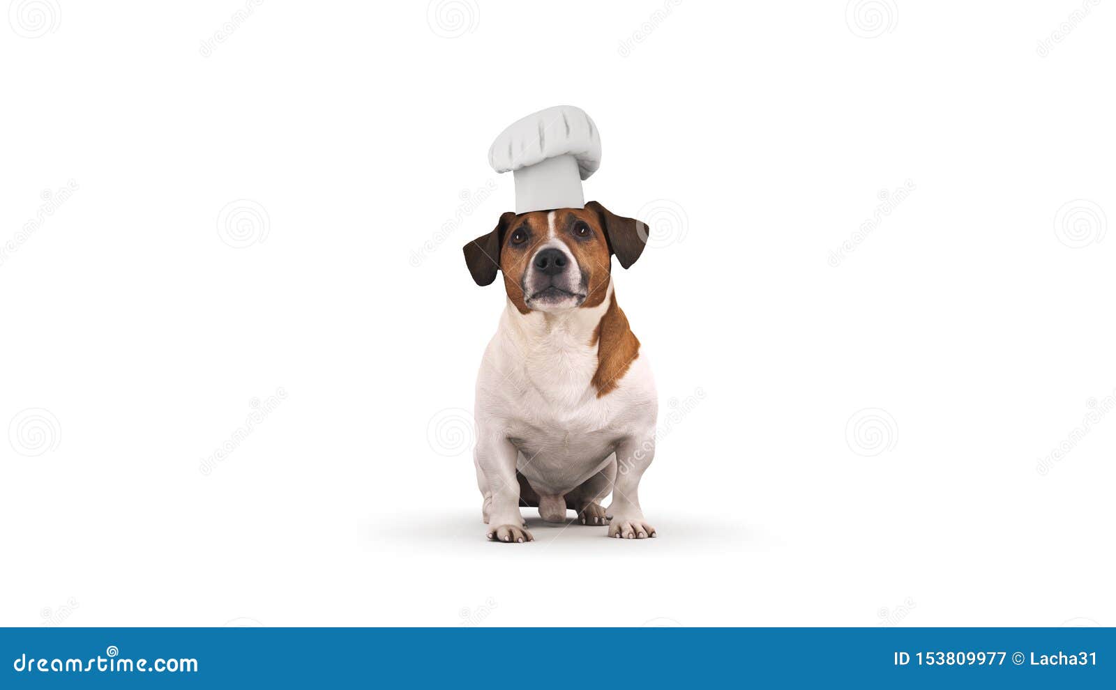 Dog Chef Cook. 3d Rendering Stock Illustration - Illustration of ...