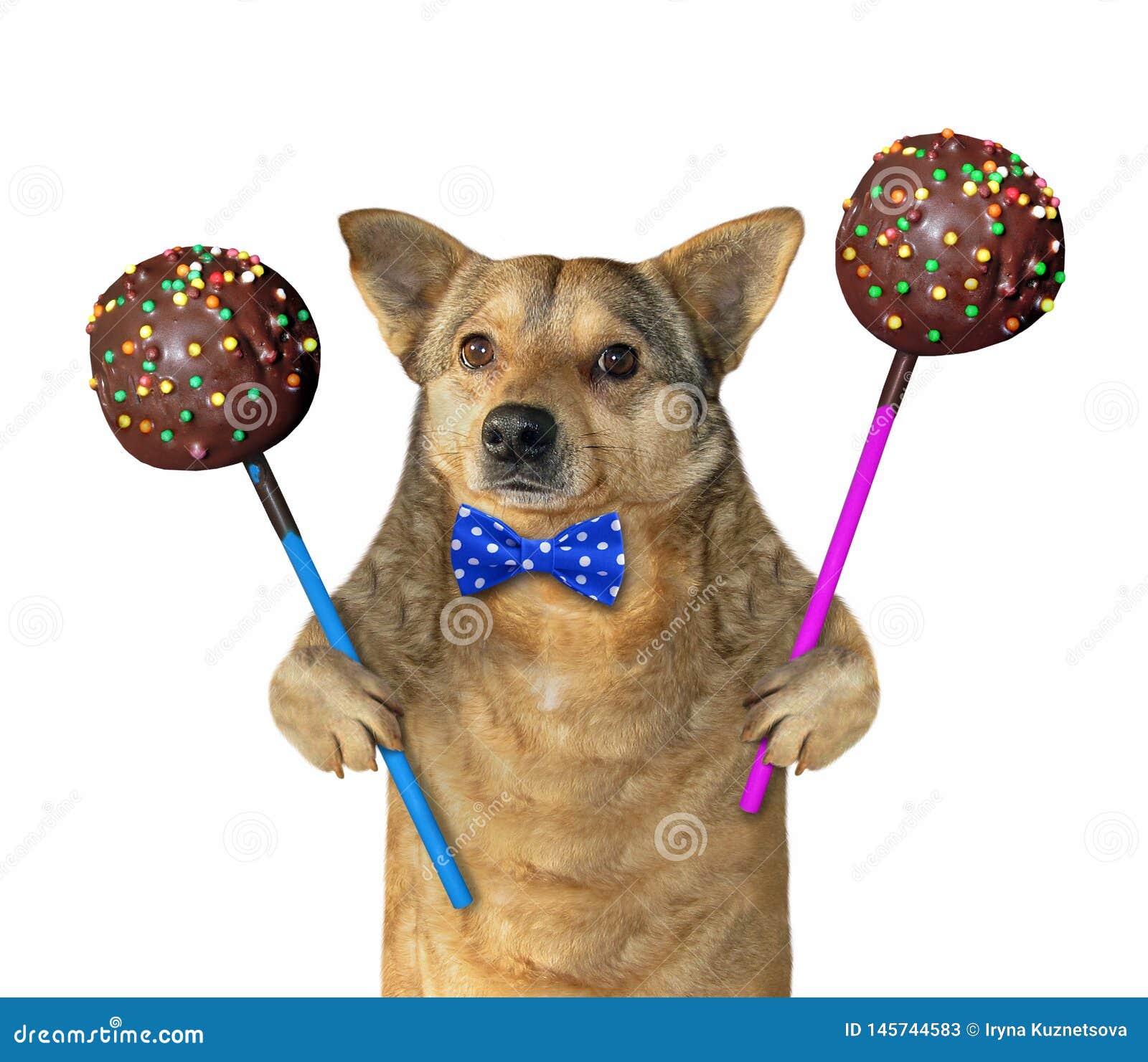 Dog With Chocolate Cake Pops Stock Image Image of food