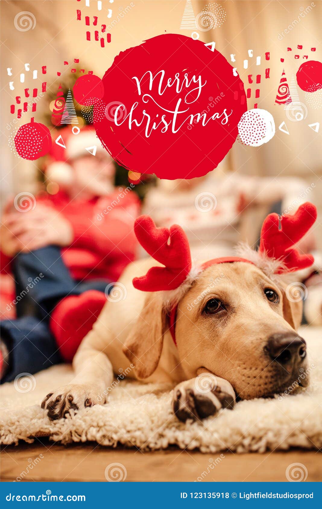 christmas labrador