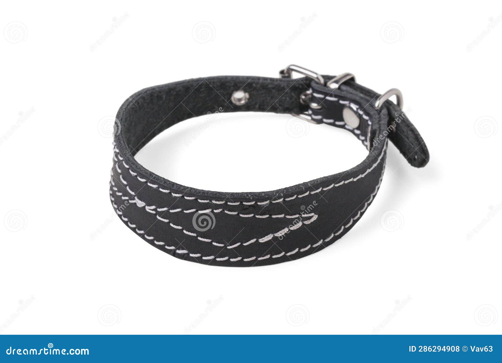 Dog collar stock photo. Image of simple, cord, harness 286294908