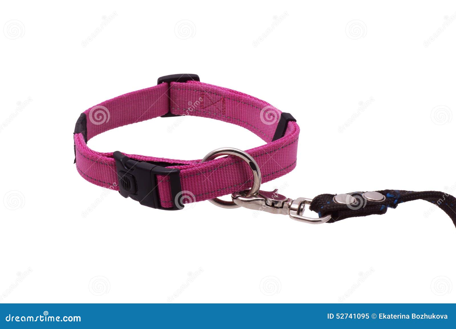 Dog collar and leash. stock image. Image of canine, bondage 52741095