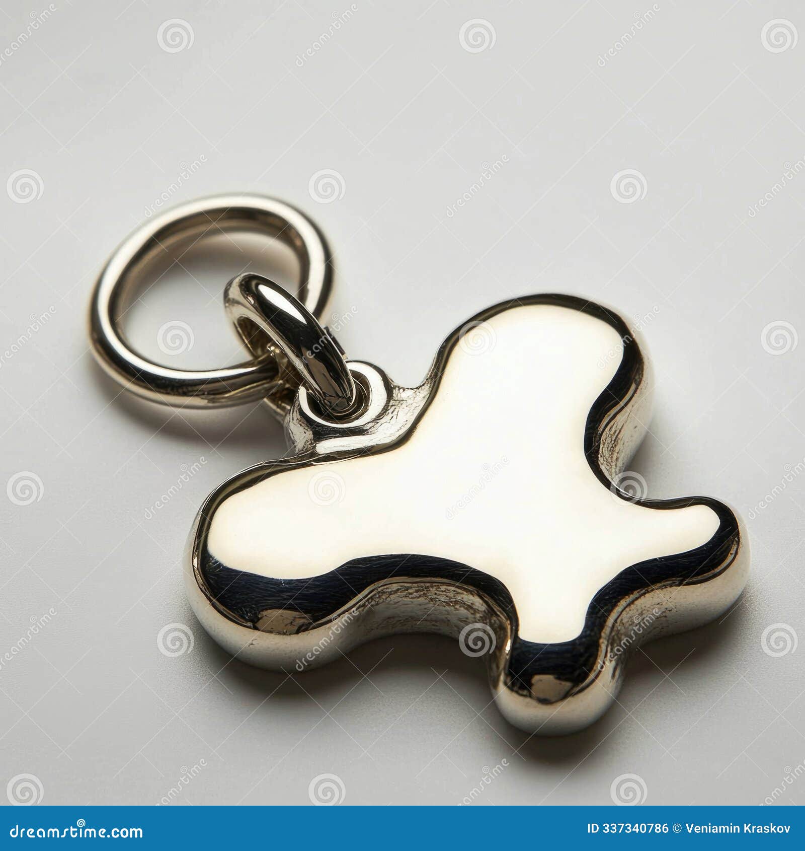 a dog collar tag charm,  on a white background