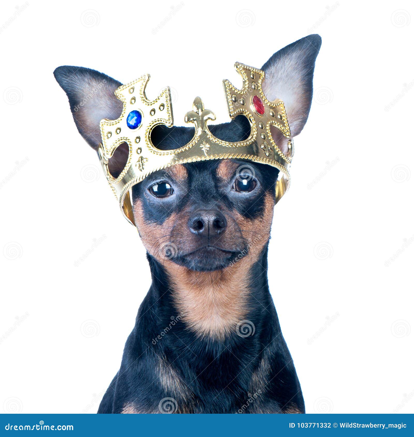kingdom two crowns wiki dog kingdom two crowns wiki dog