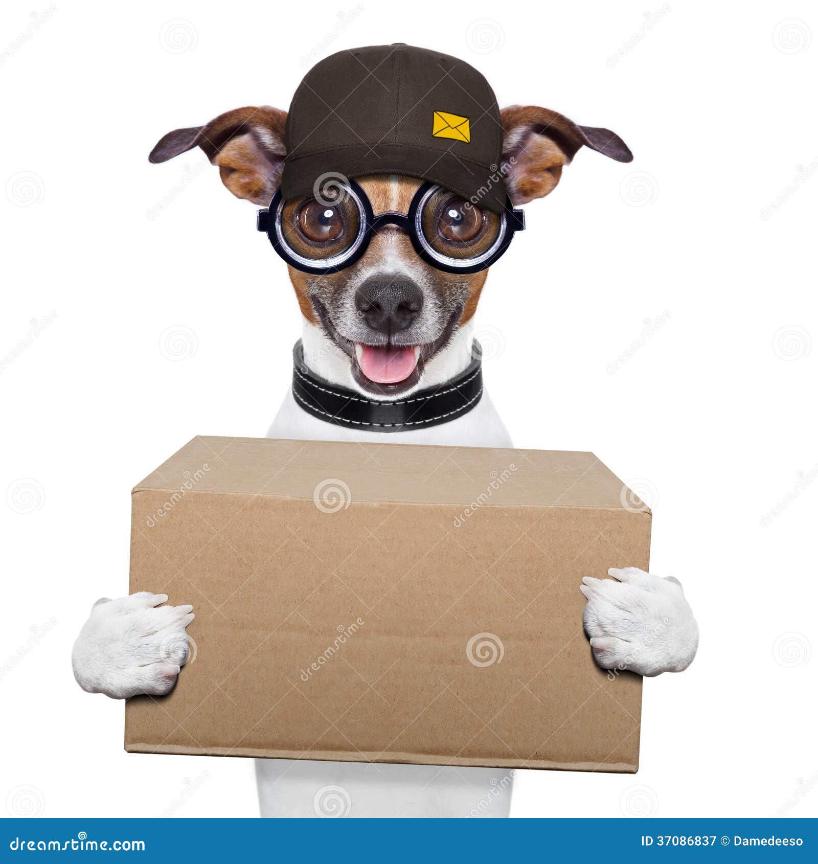 dog courier