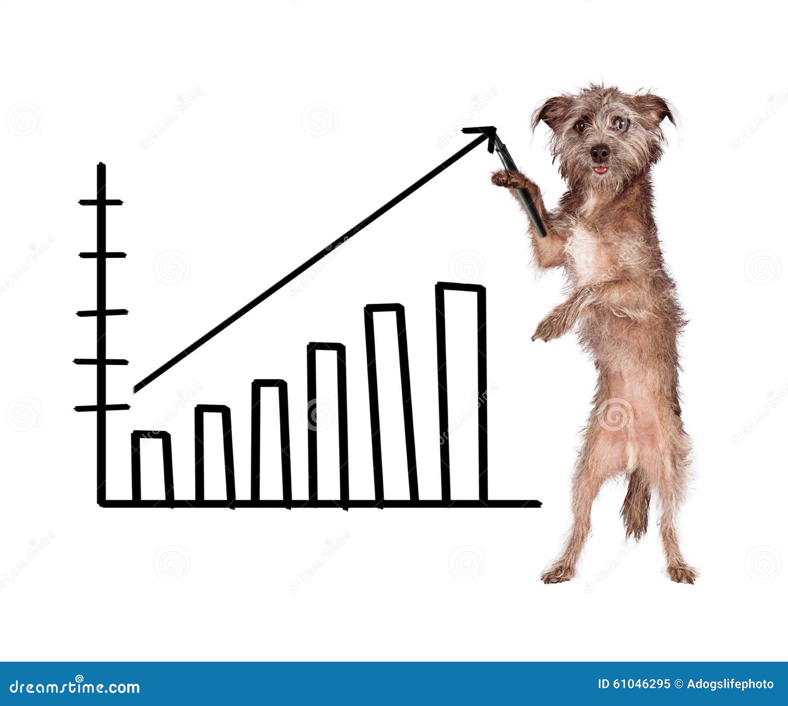 Dog Drawing Increasing Sales Chart Stock Image - Image of breed, indoors:  61046295