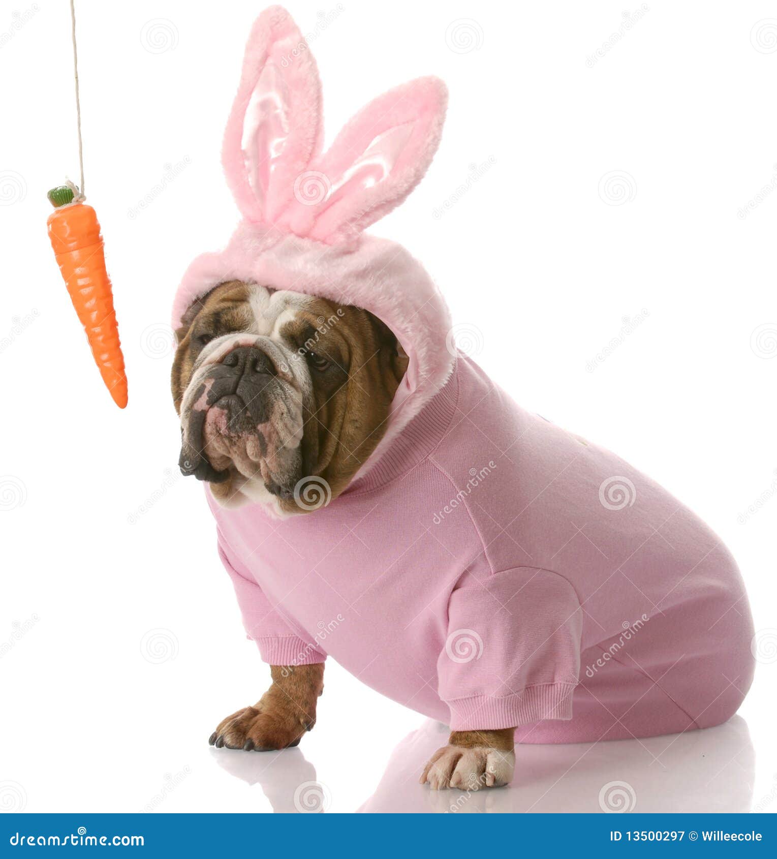 free clipart dog dressed up - photo #46