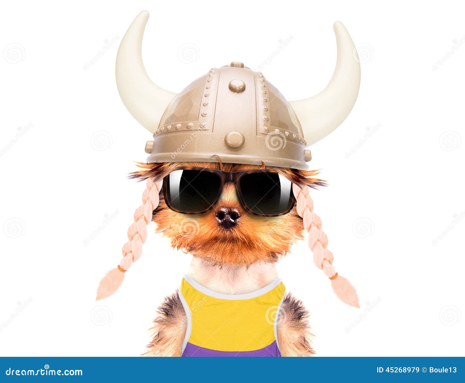 Dog dressed up as a viking stock image. Image of holiday 45268979