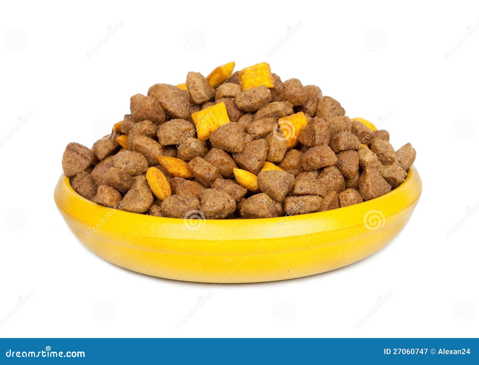Dog dry food in a bowl stock image. Image of canine, food 27060747