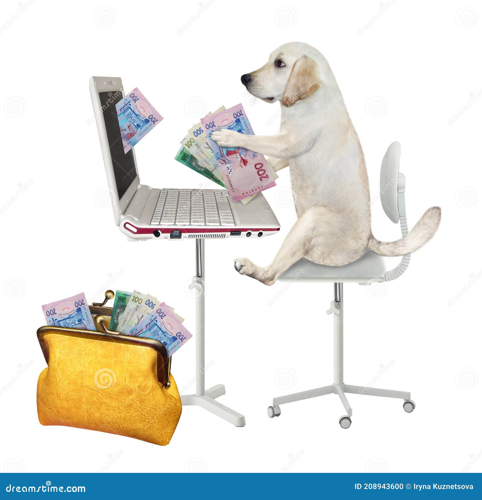 dog earns hryvnia from laptop 2