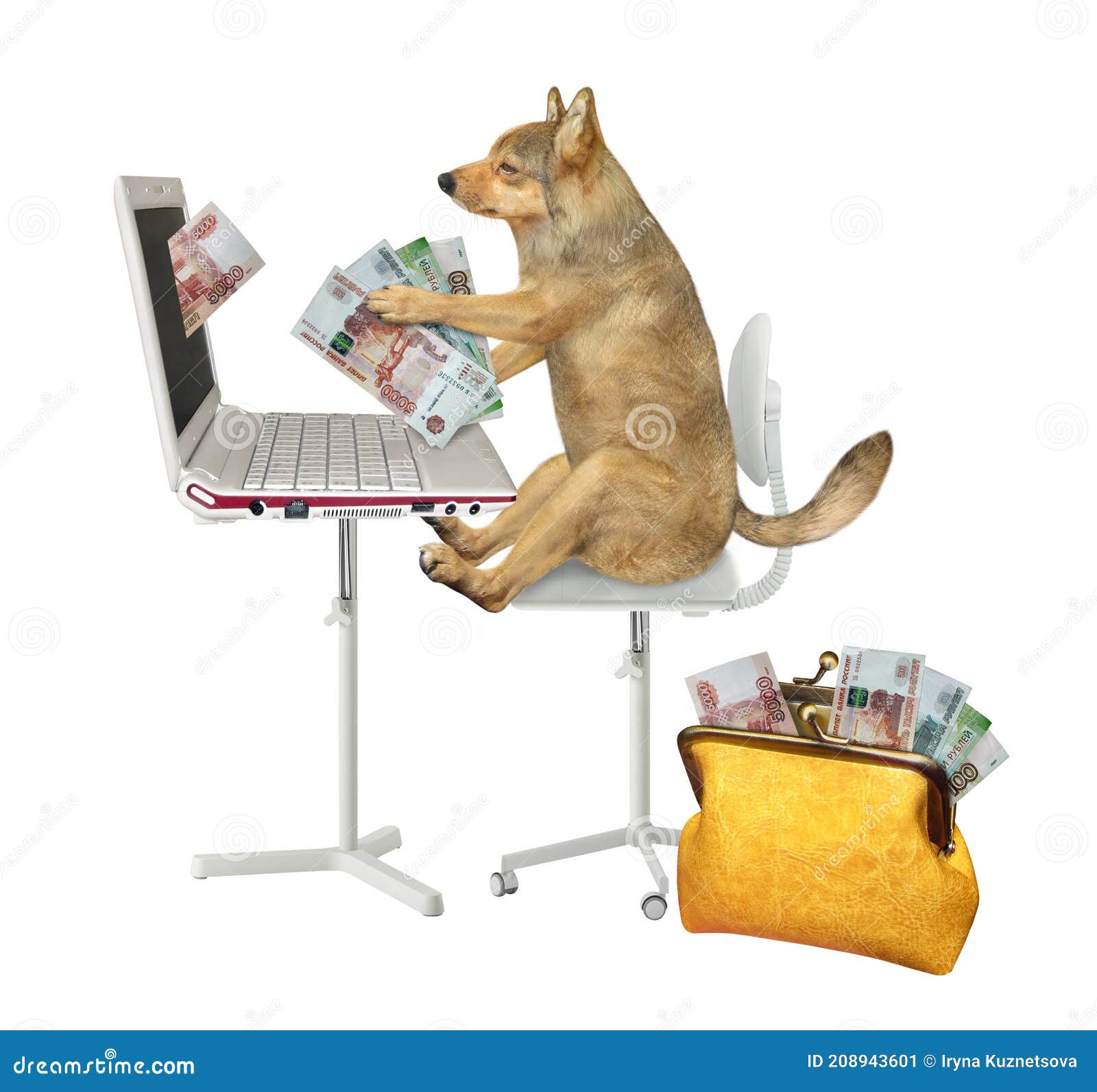 dog earns rubles from laptop