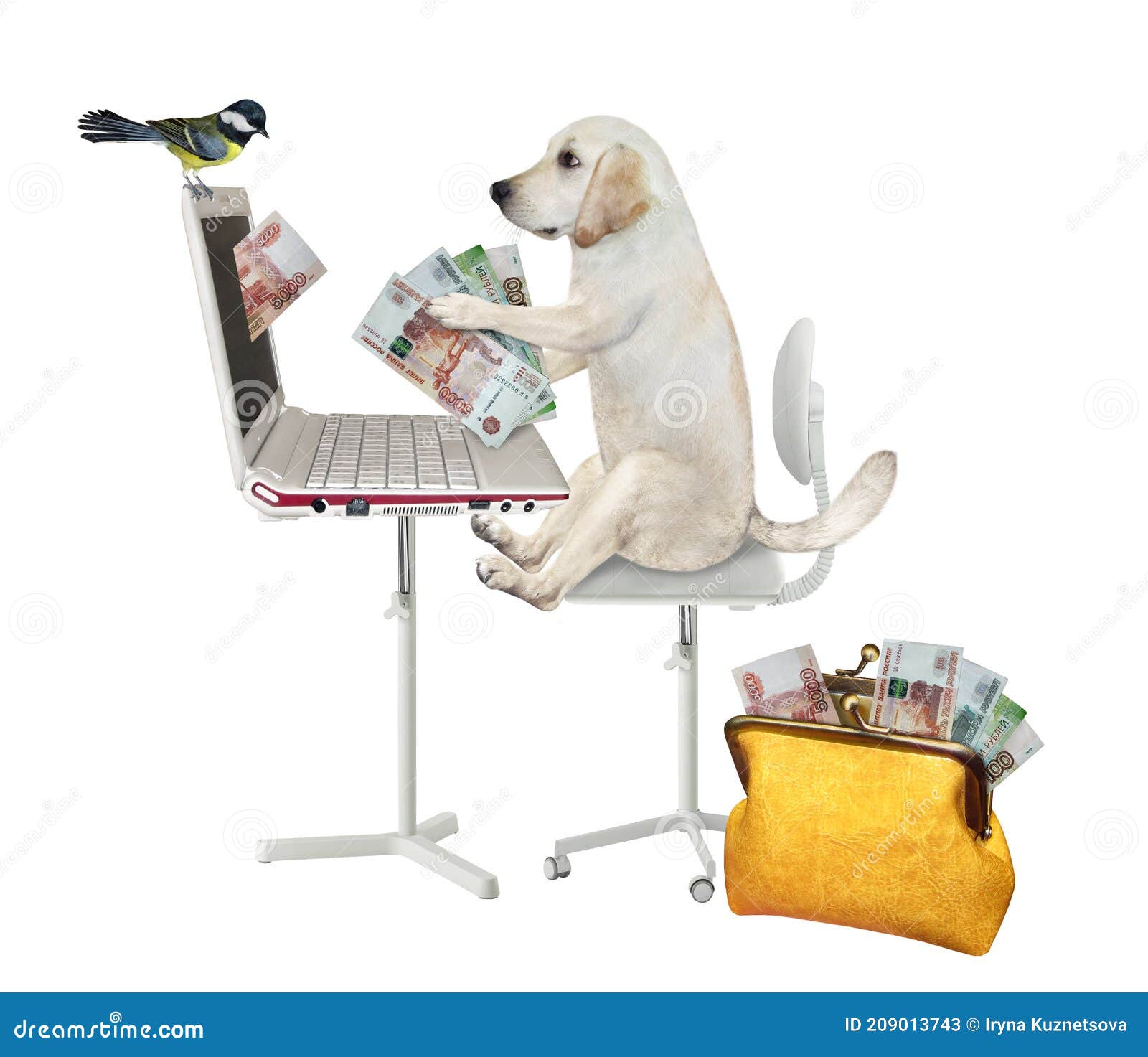 dog earns rubles from laptop 2
