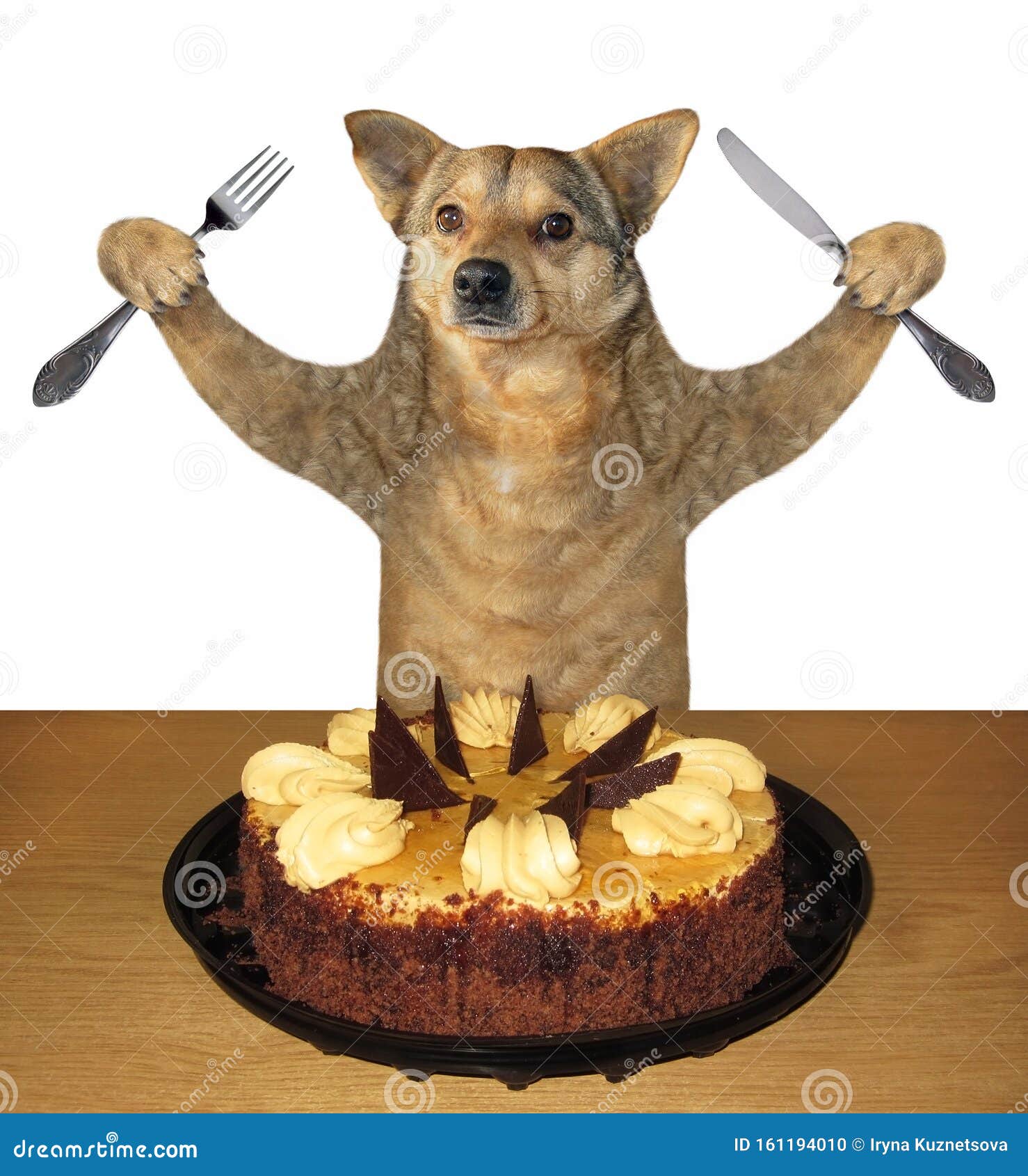 Собака съела рыбу. Тортик для собаки. Торт с собакой. Смешной торт с собакой. Собака ест торт.