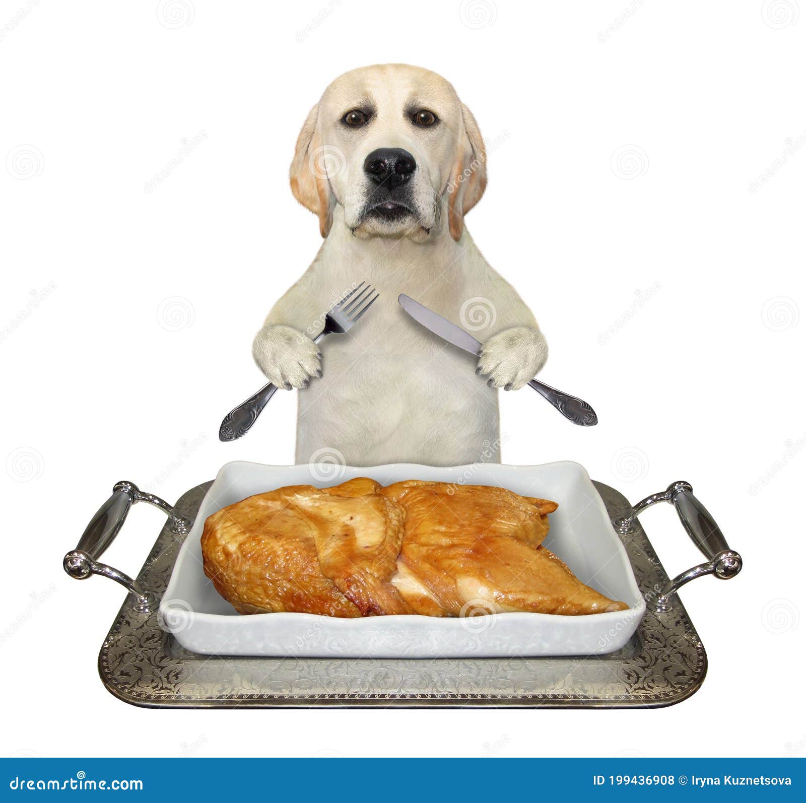 can dogs eat grilled chicken