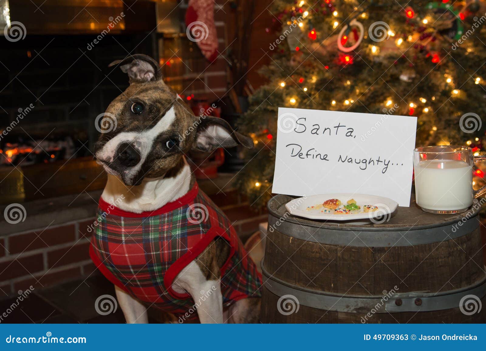 dog eats santas cookies