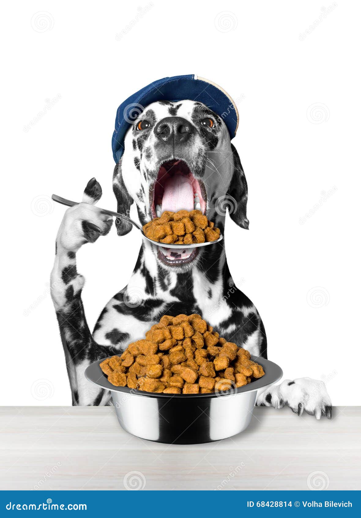 Dog Eats with a Spoon from a Bowl Stock Photo Image of breakfast