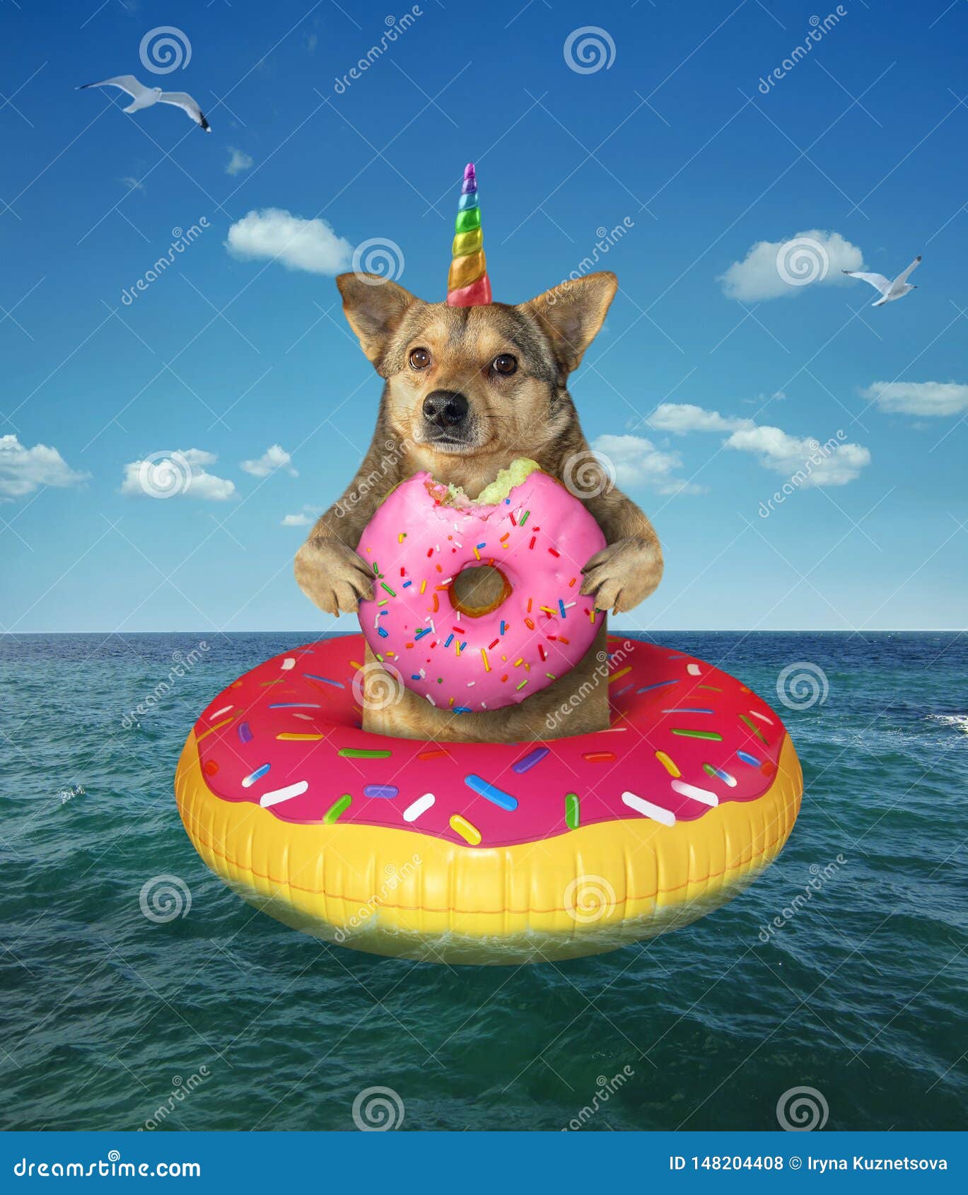 Dog Eats Unicorn Eats a Donut in the Sea Stock Photo Image of