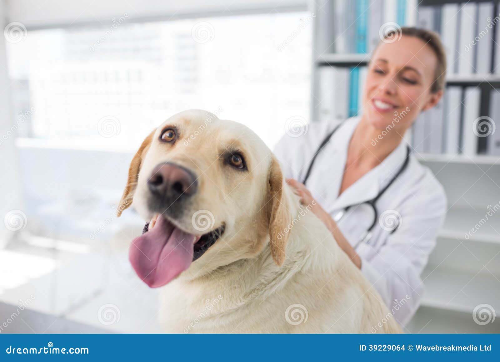 dog with female veterinarian