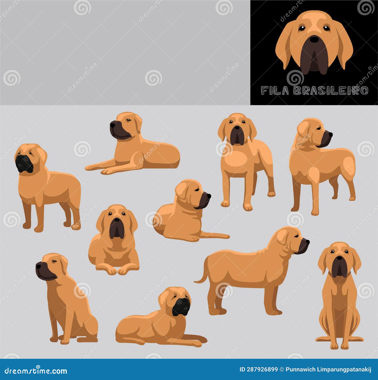 Brazilian Mastiff Fila Brasileiro Dog Stock Illustrations – 32 Brazilian  Mastiff Fila Brasileiro Dog Stock Illustrations, Vectors & Clipart -  Dreamstime