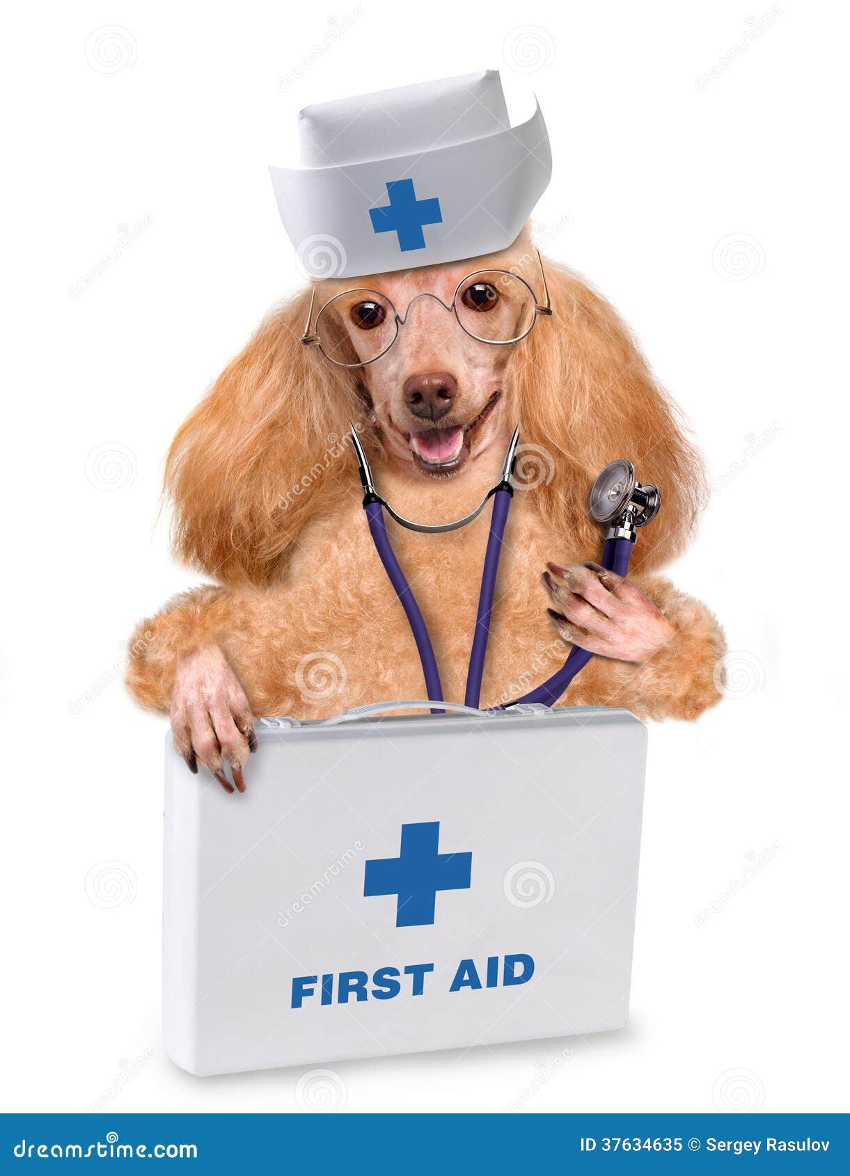 Dog with a first aid kit stock image. Image of poster 37634635