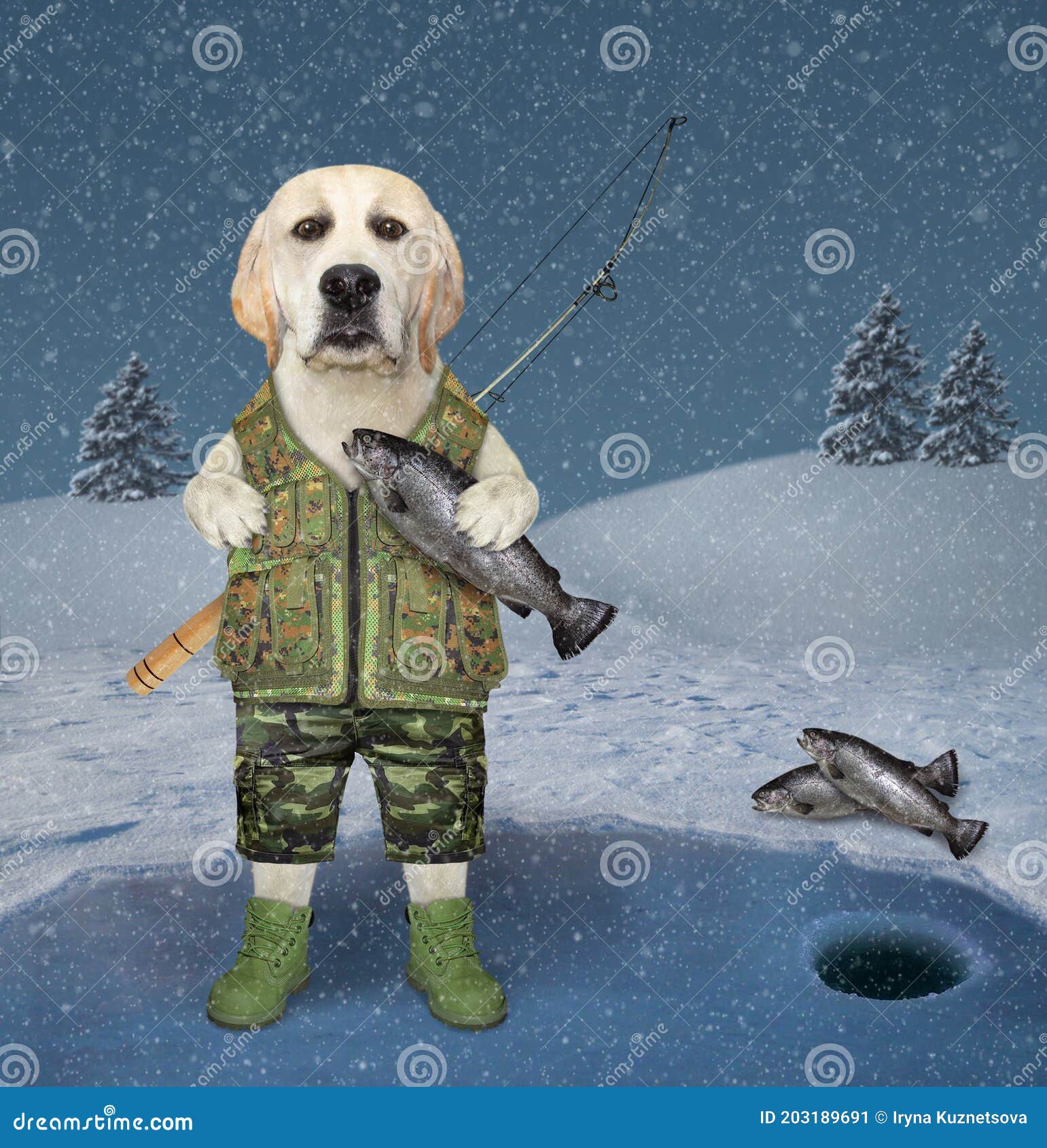 https://thumbs.dreamstime.com/z/dog-fisherman-uniform-fishing-rod-behind-his-back-holds-caught-fish-frozen-lake-winter-forest-dog-rod-203189691.jpg
