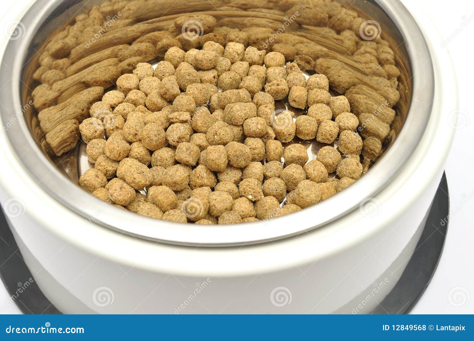 Dog food stock photo. Image of feeding, color, bowl, feedingstuffs