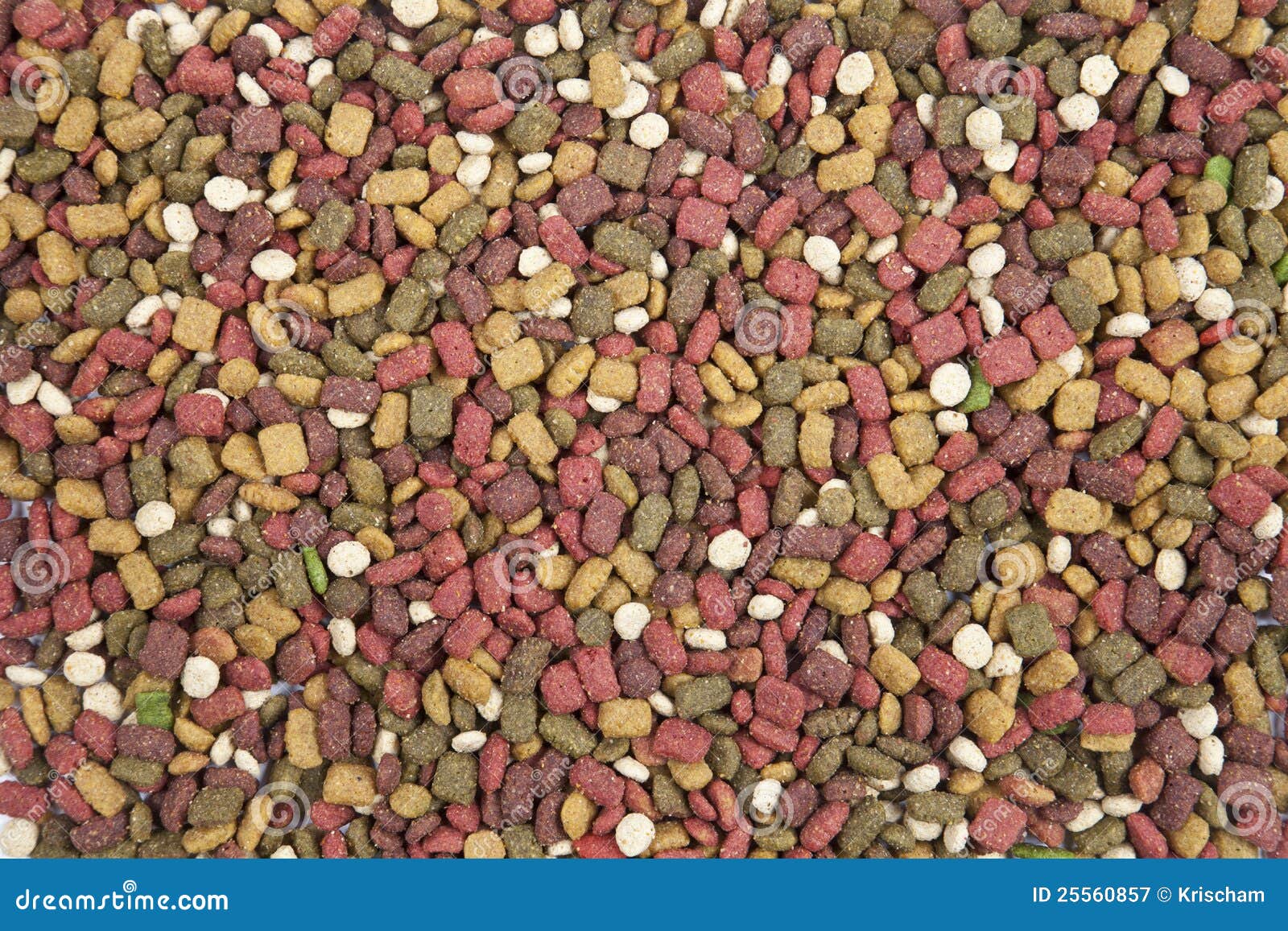 Dog food. stock image. Image of doggy, dinner, industry 25560857