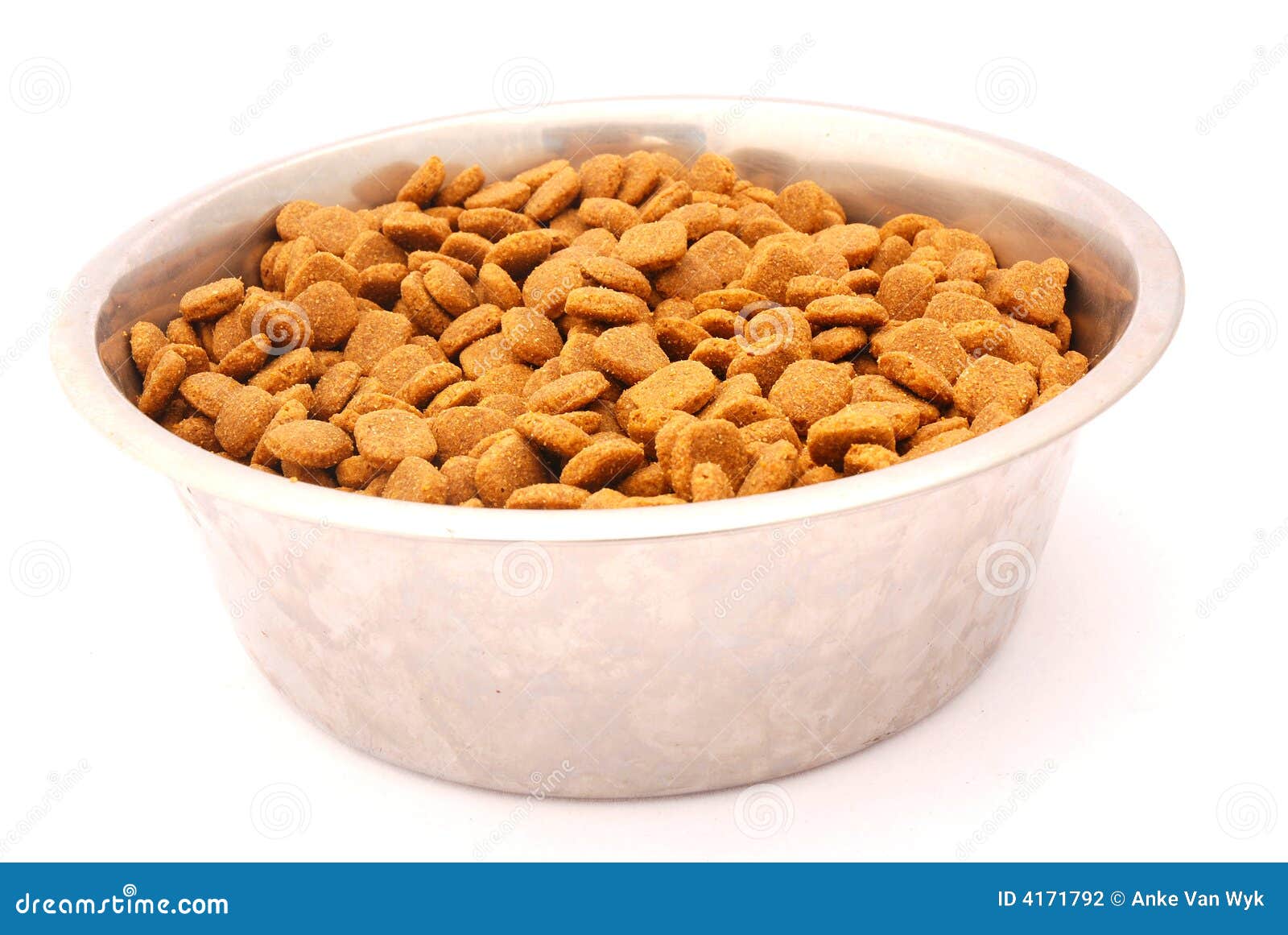 Dog food stock photo. Image of animals, healthy, brown 4171792